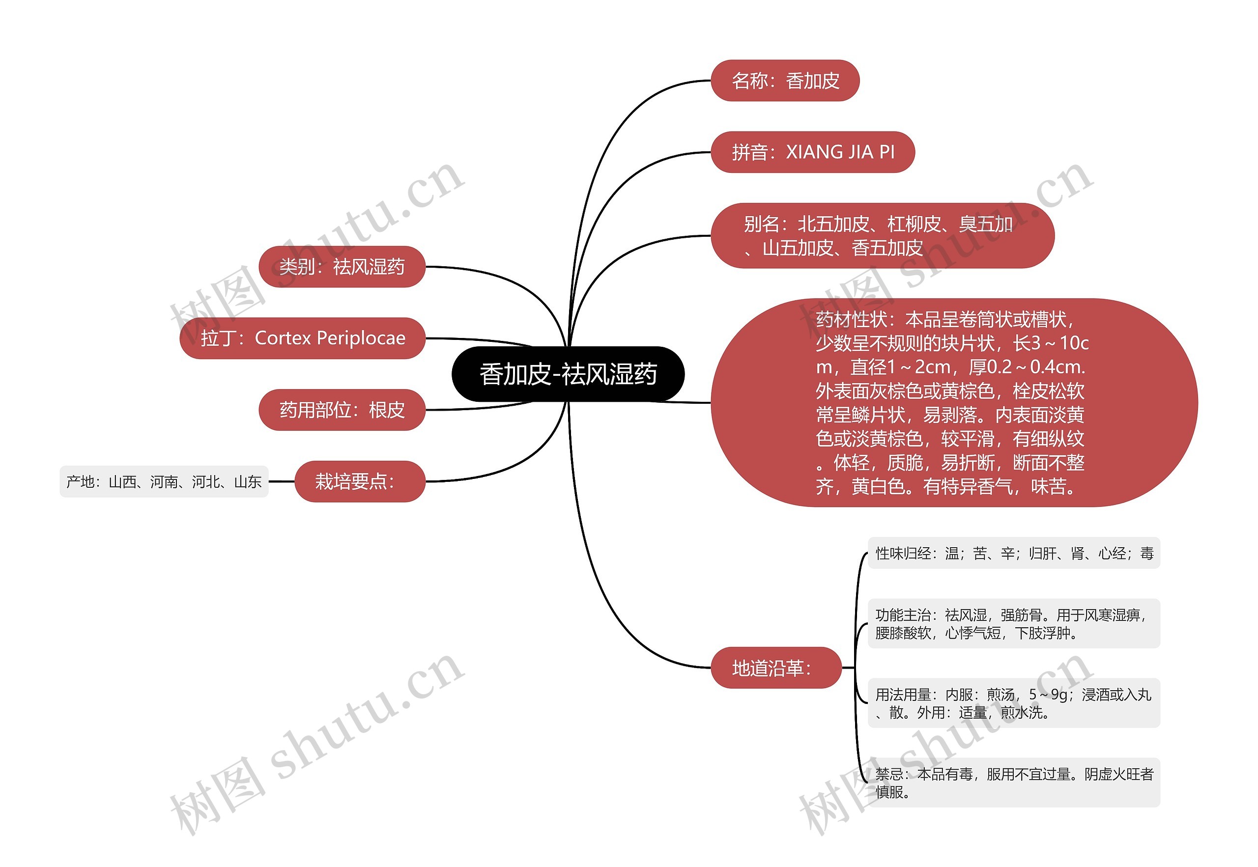 香加皮-祛风湿药思维导图