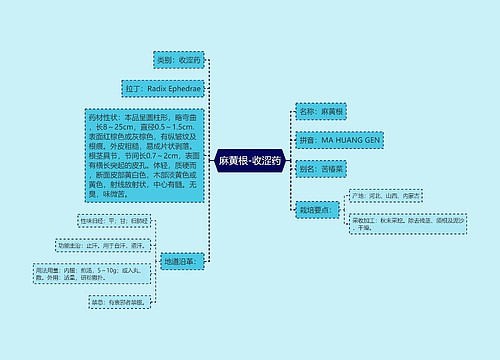 麻黄根-收涩药思维导图