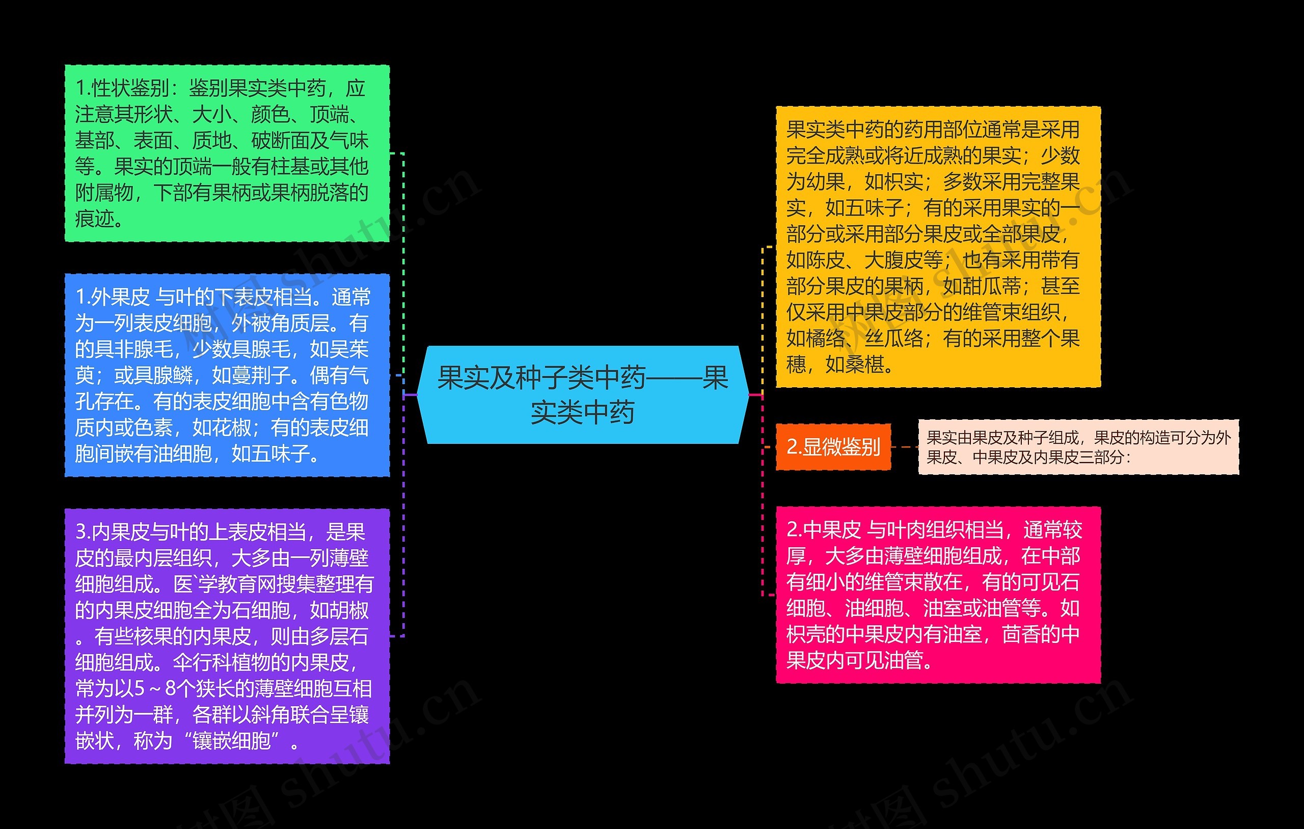 果实及种子类中药——果实类中药