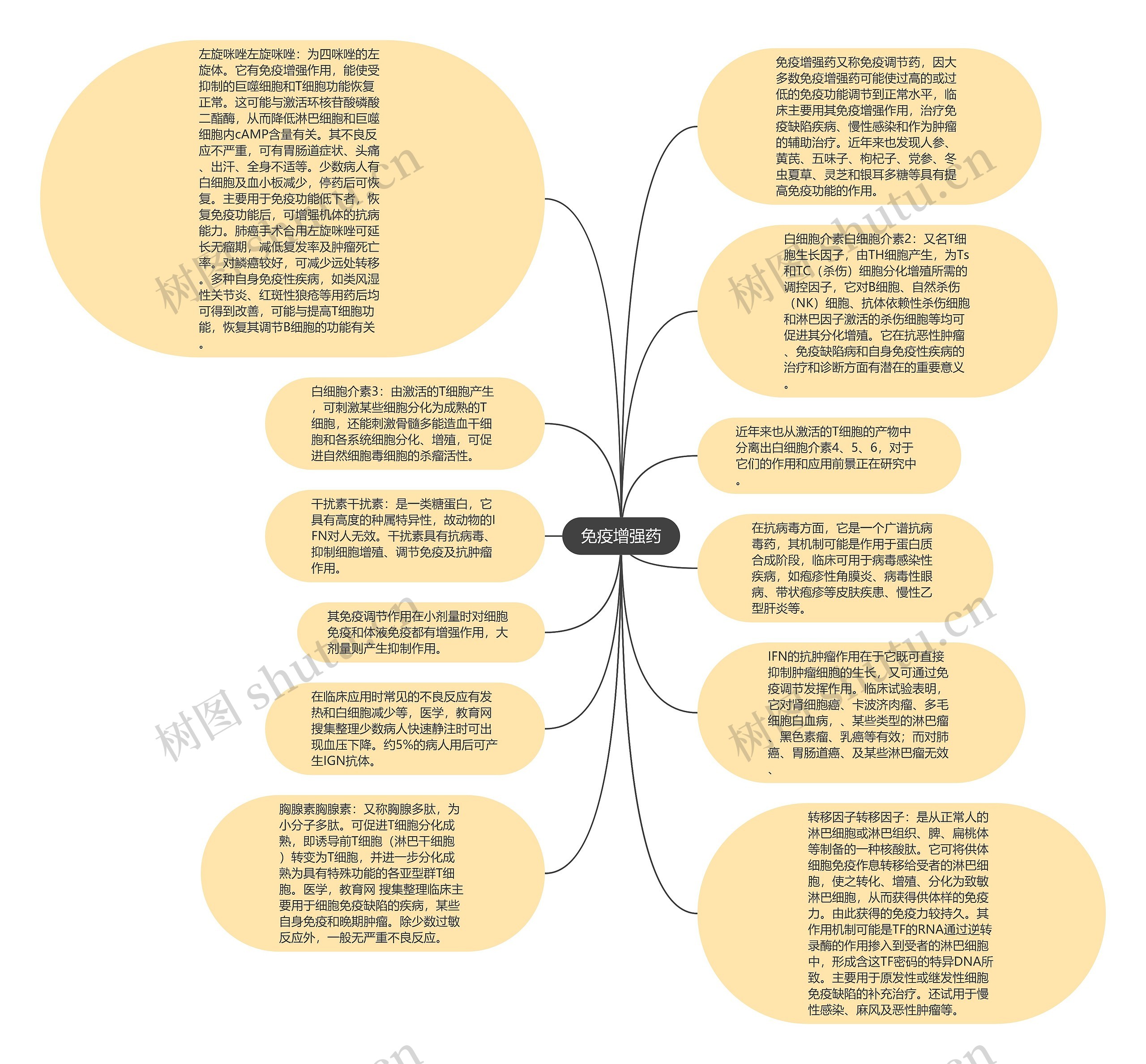 免疫增强药思维导图