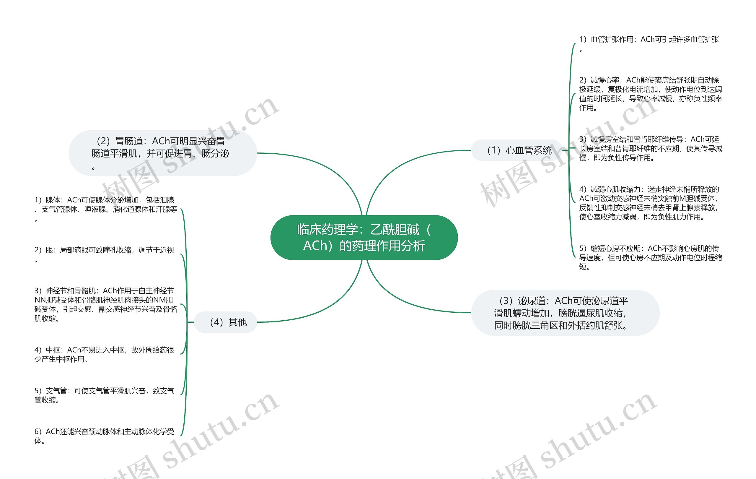 临床药理学：乙酰胆碱（ACh）的药理作用分析思维导图