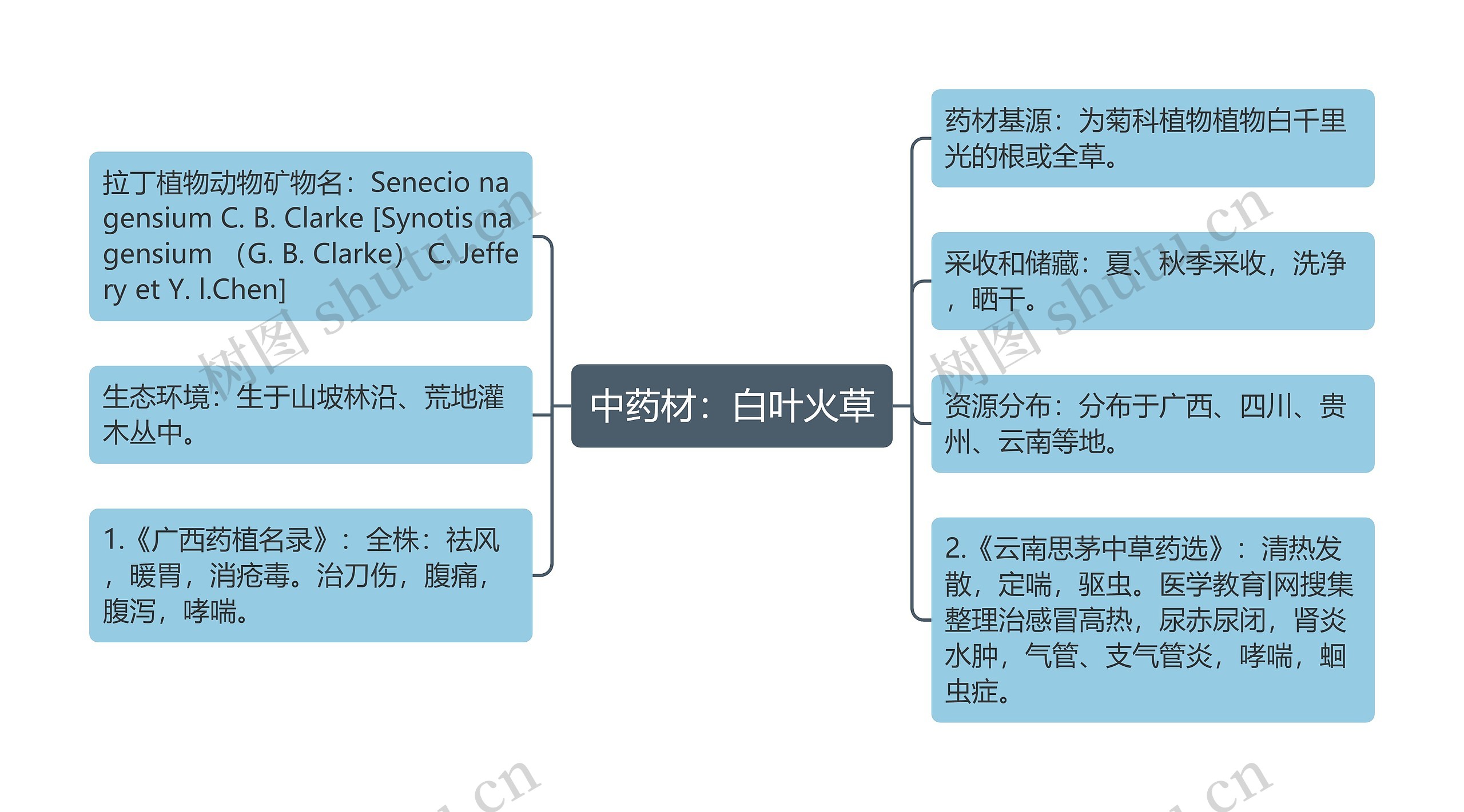 中药材：白叶火草