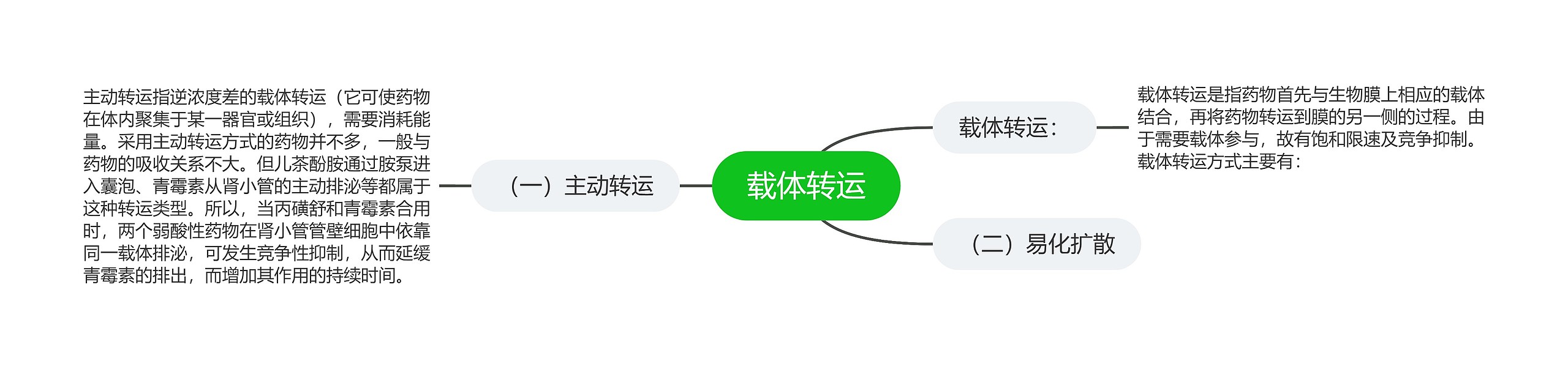 载体转运思维导图