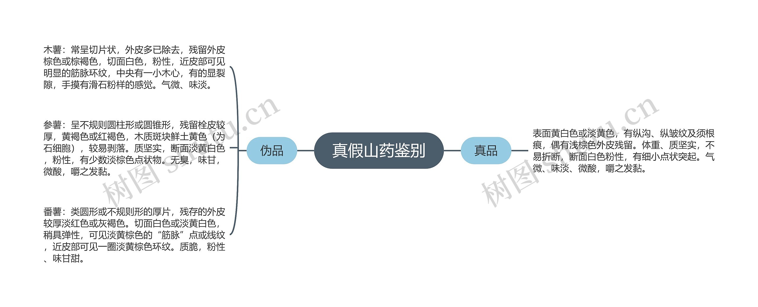 真假山药鉴别思维导图