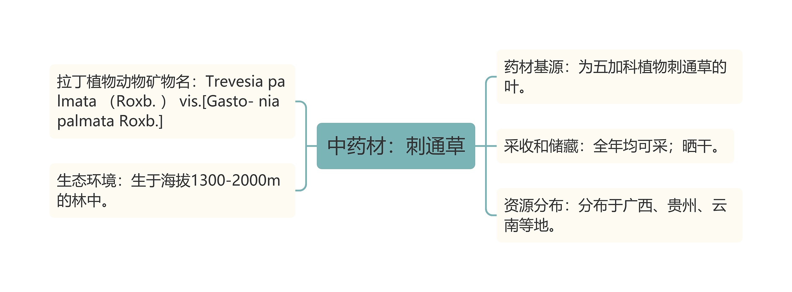 中药材：刺通草思维导图