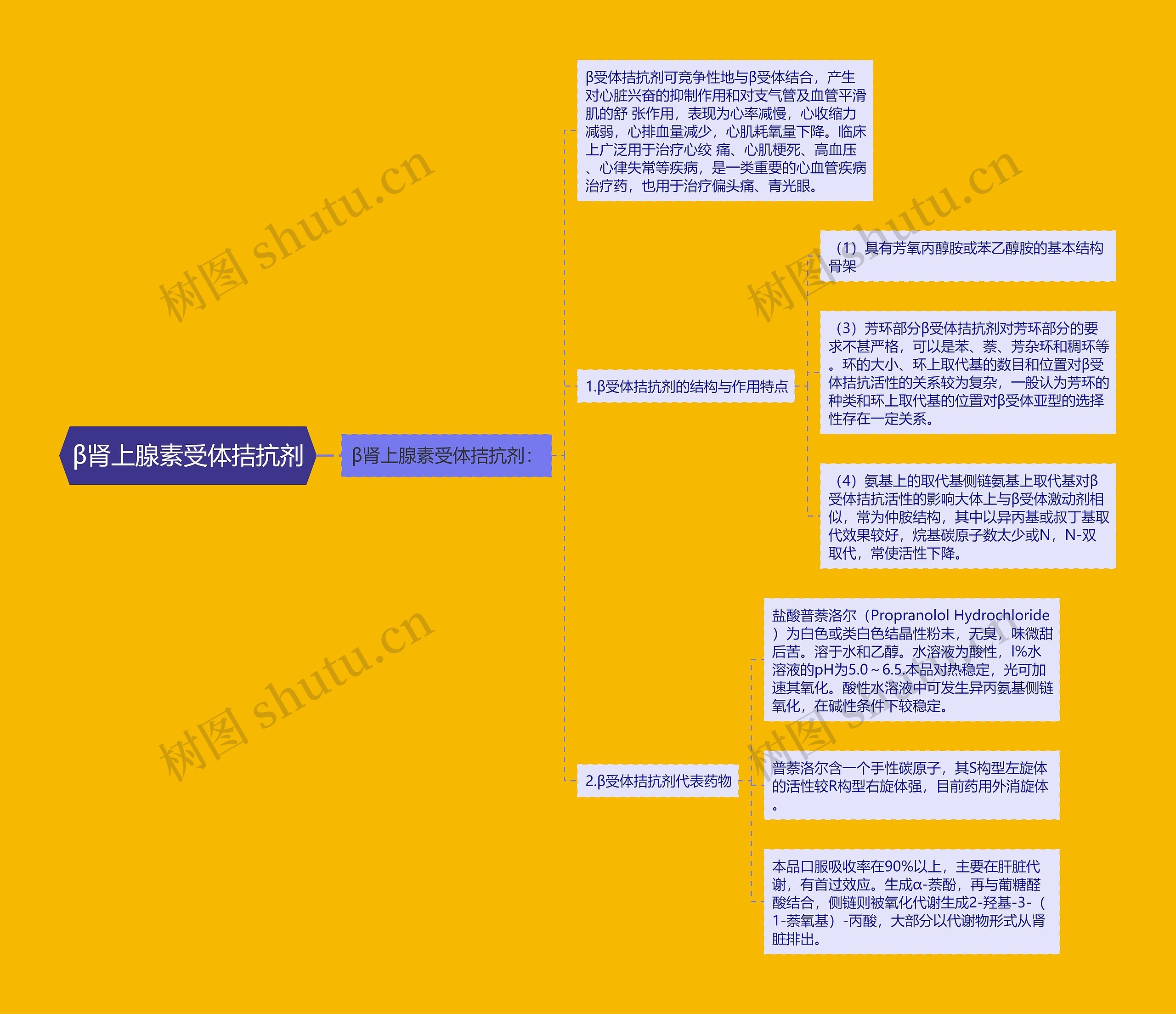 β肾上腺素受体拮抗剂思维导图