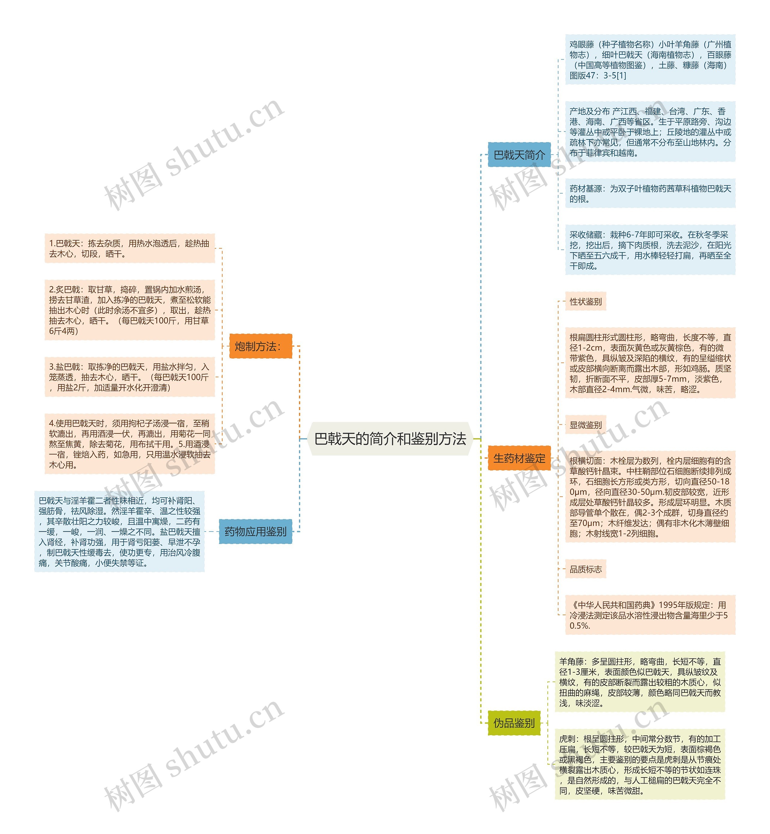 巴戟天的简介和鉴别方法 巴戟天的简介和鉴别方法