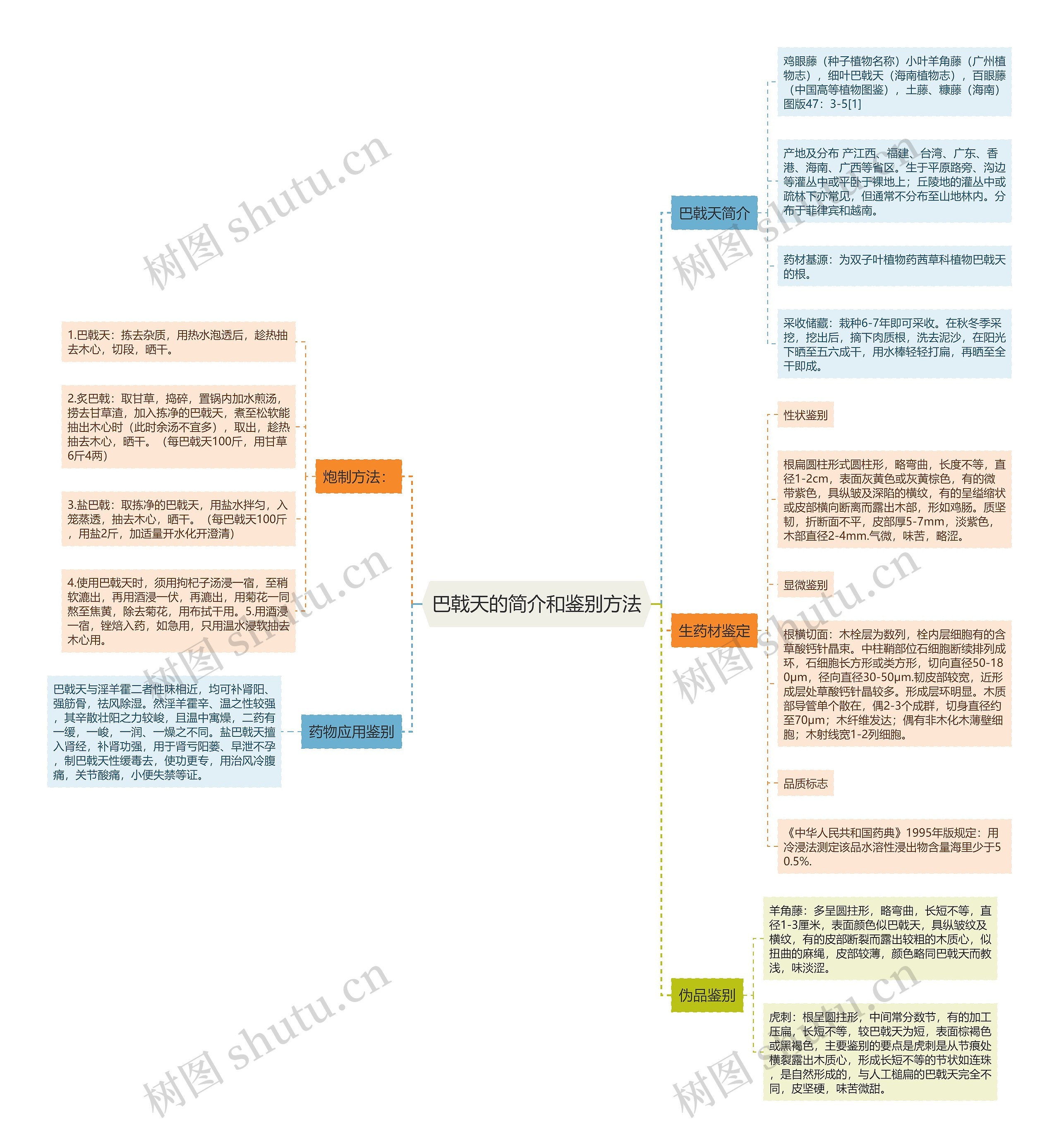巴戟天的简介和鉴别方法思维导图