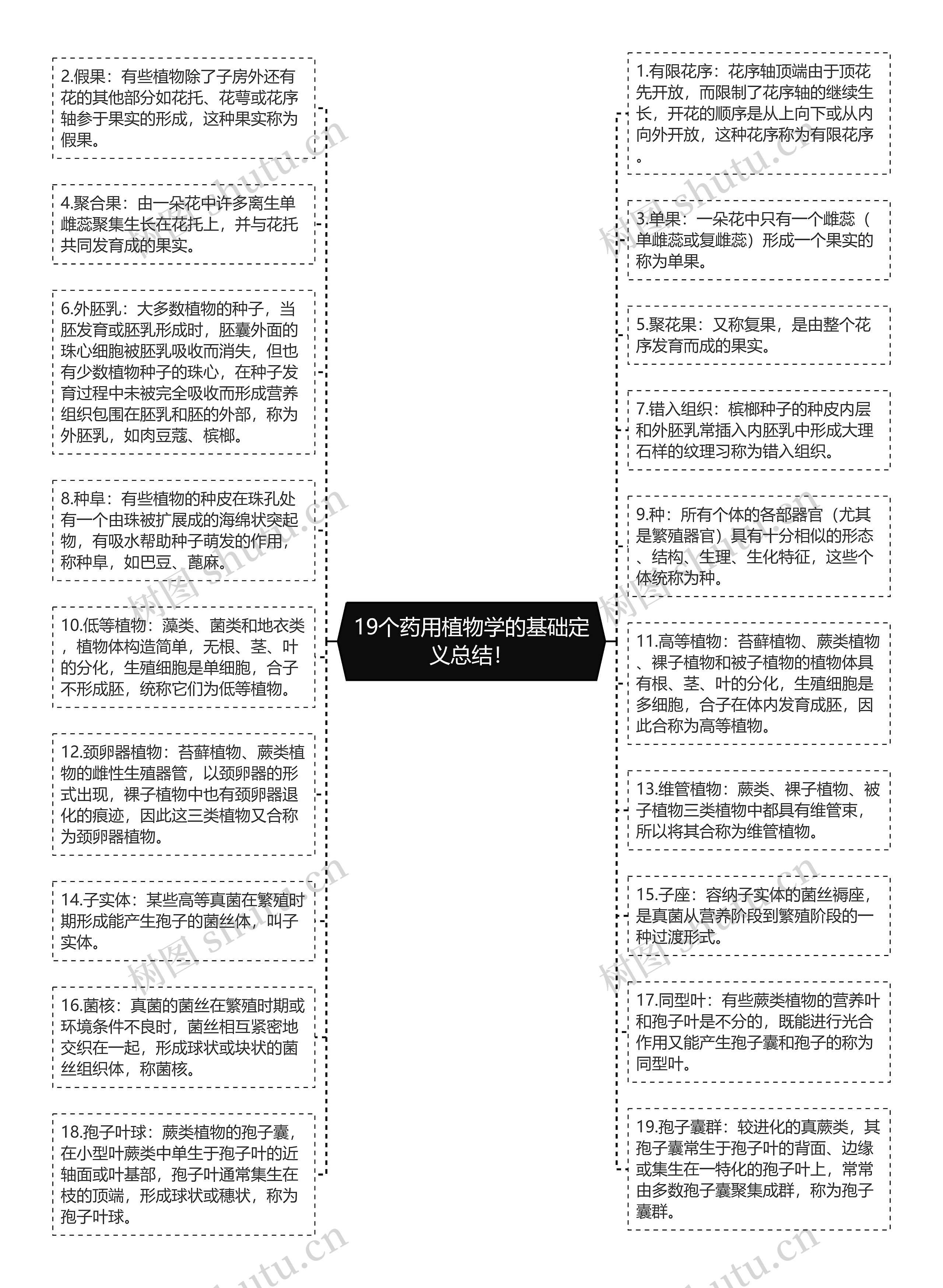 19个药用植物学的基础定义总结！思维导图