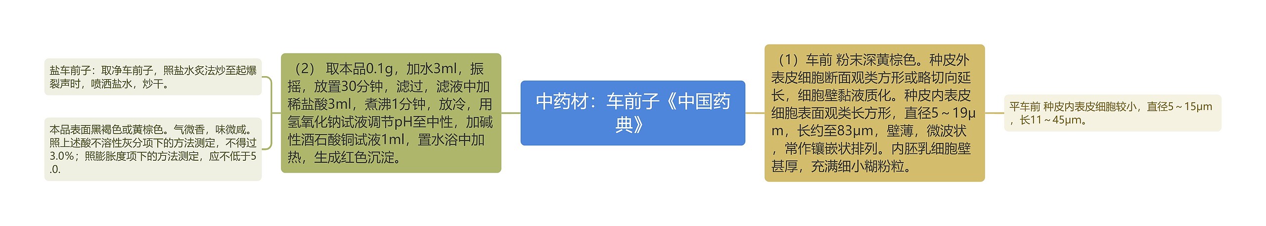 中药材：车前子《中国药典》