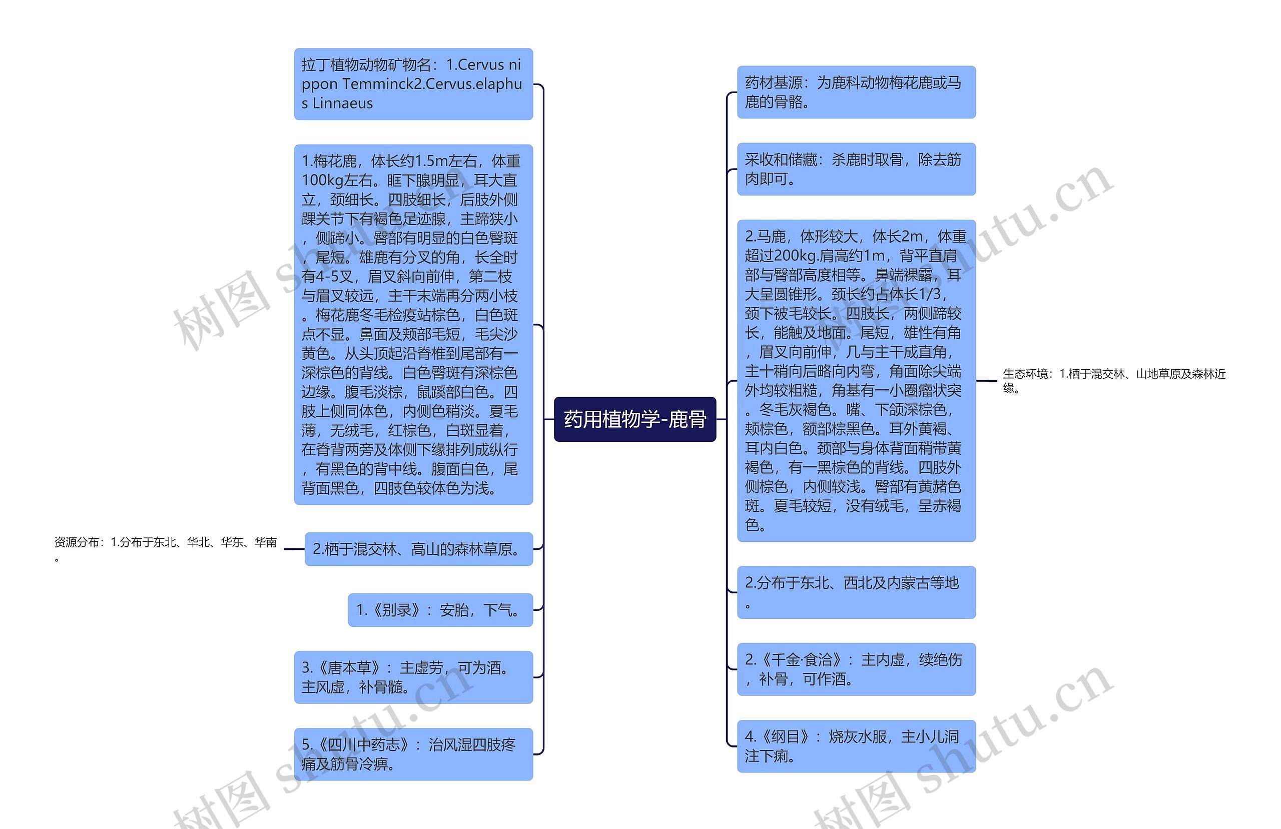 药用植物学-鹿骨 药用植物学-鹿骨