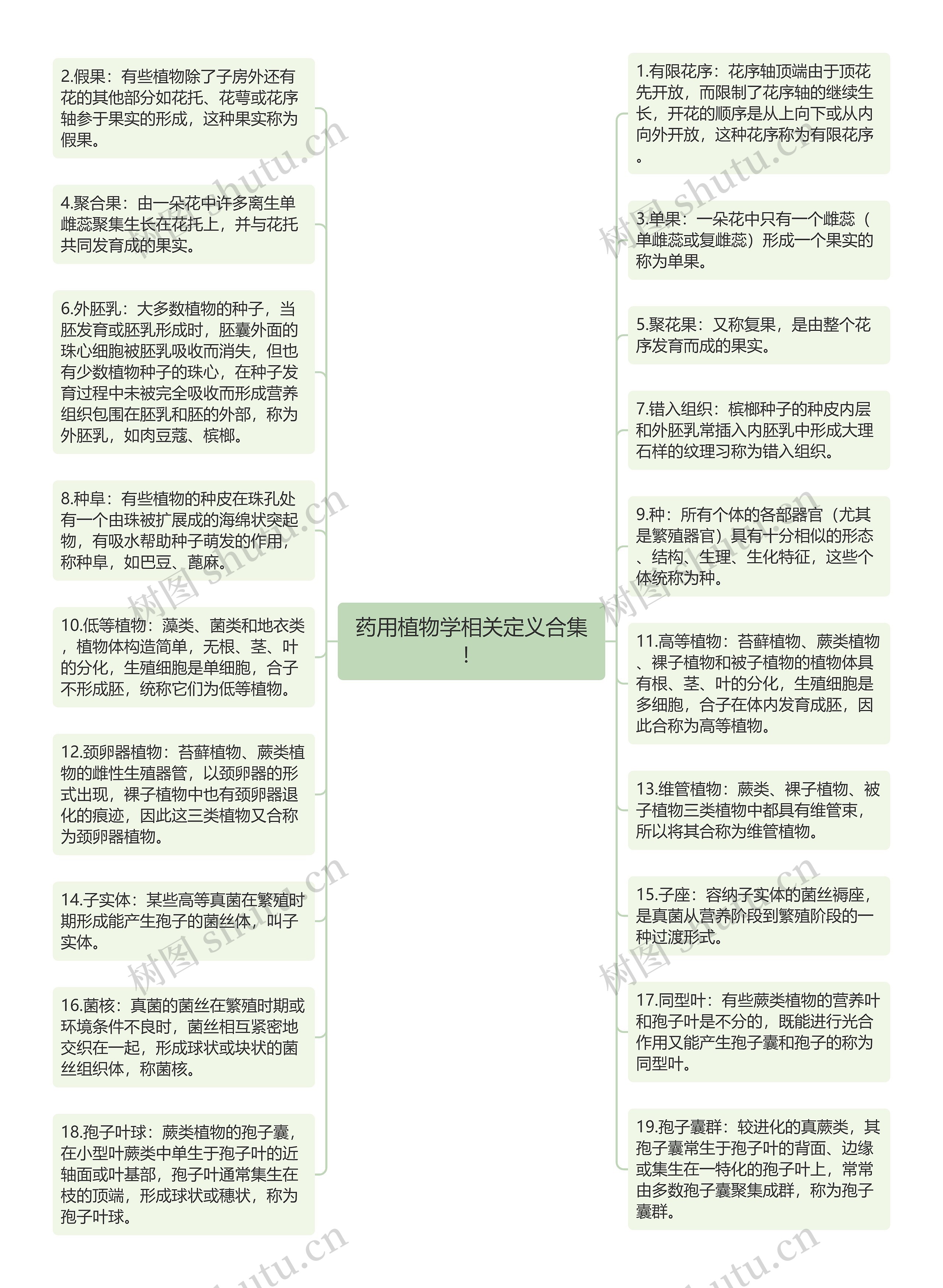 药用植物学相关定义合集！