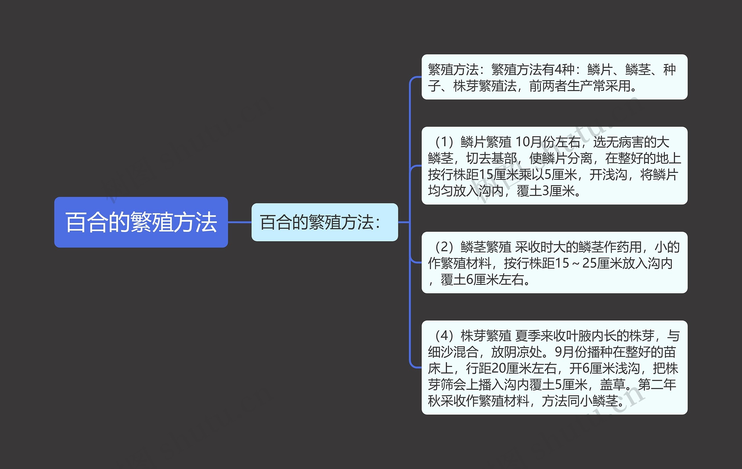 百合的繁殖方法 百合的繁殖方法