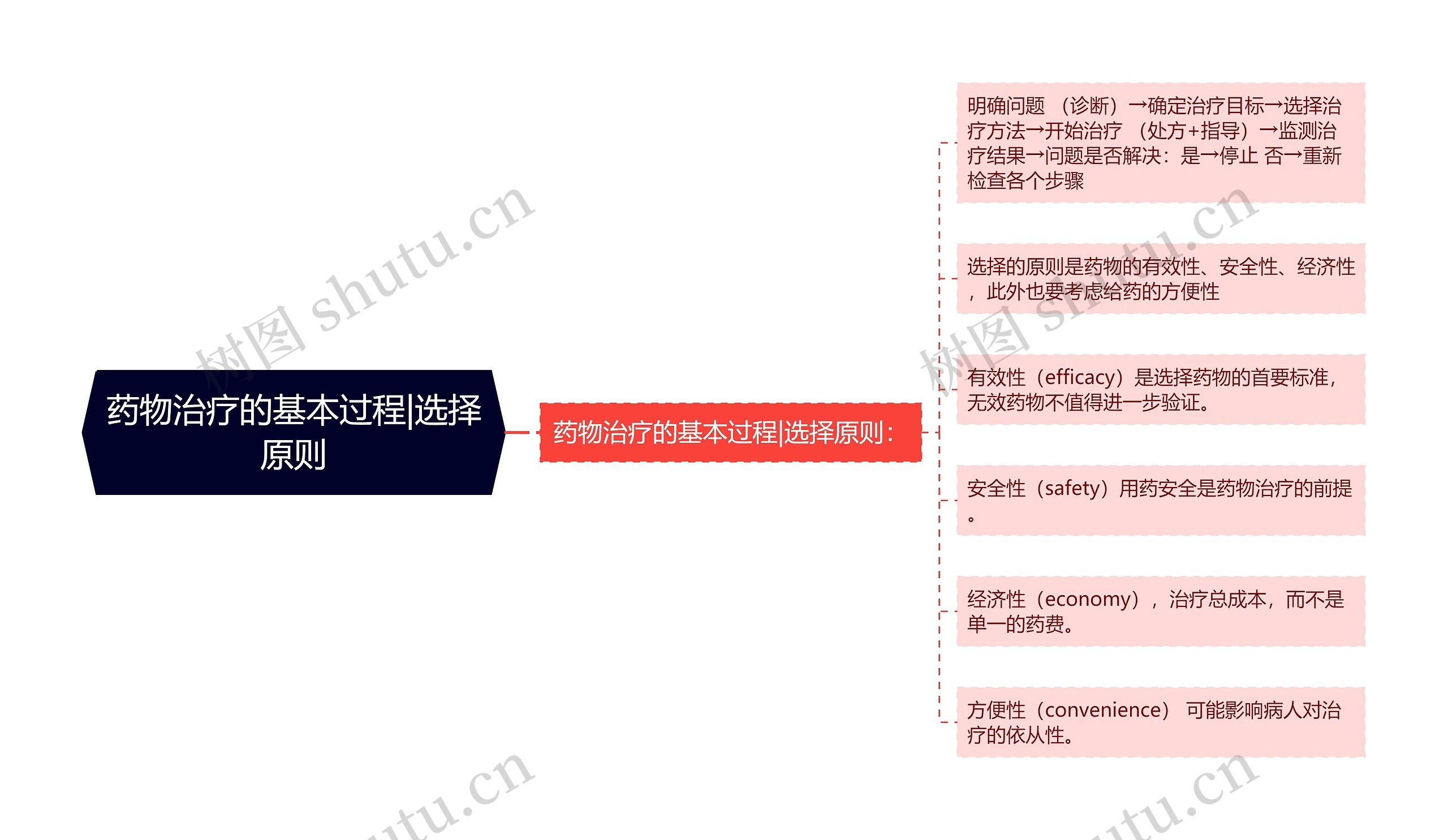 药物治疗的基本过程|选择原则思维导图