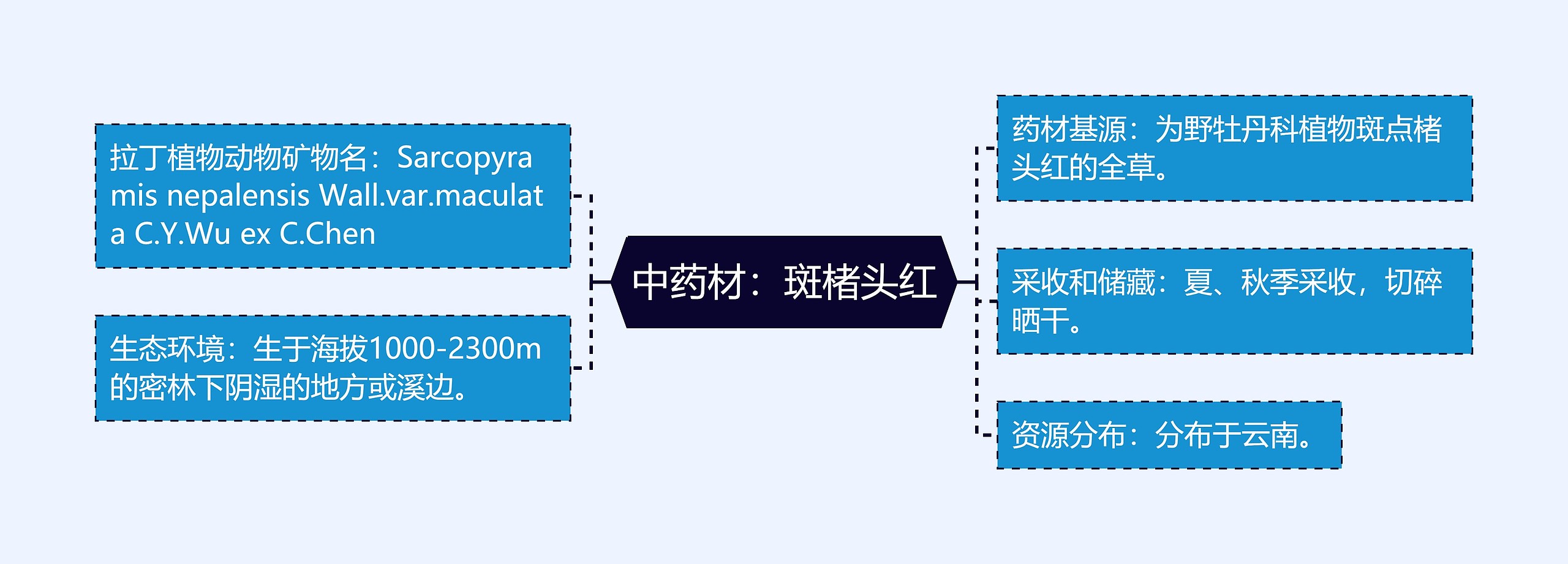 中药材：斑楮头红