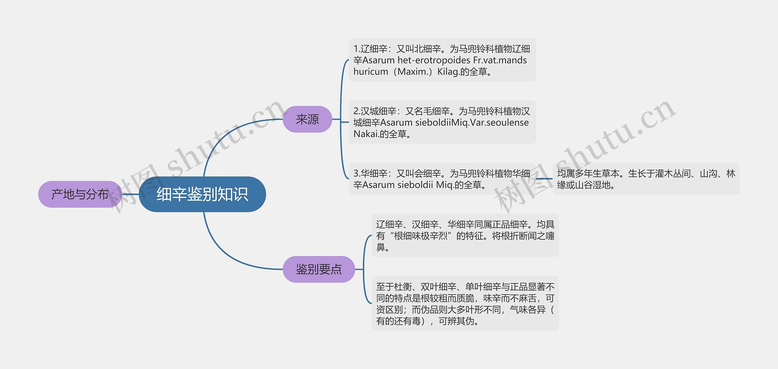 细辛鉴别知识思维导图