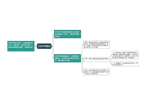 叶类中药概述