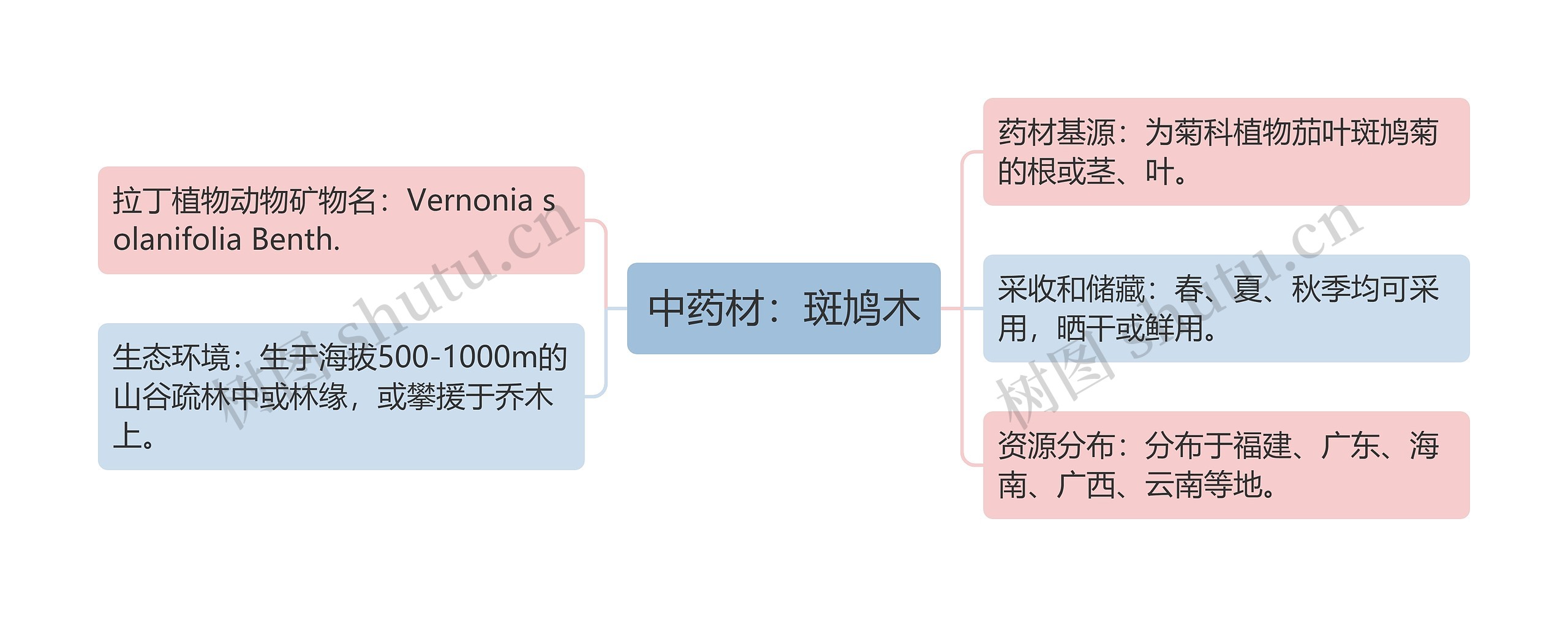 中药材：斑鸠木