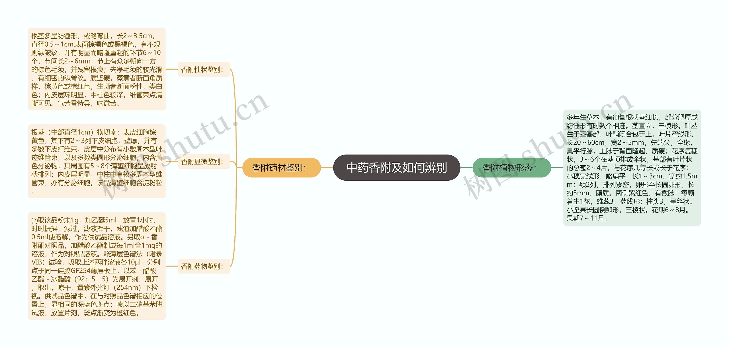 中药香附及如何辨别思维导图