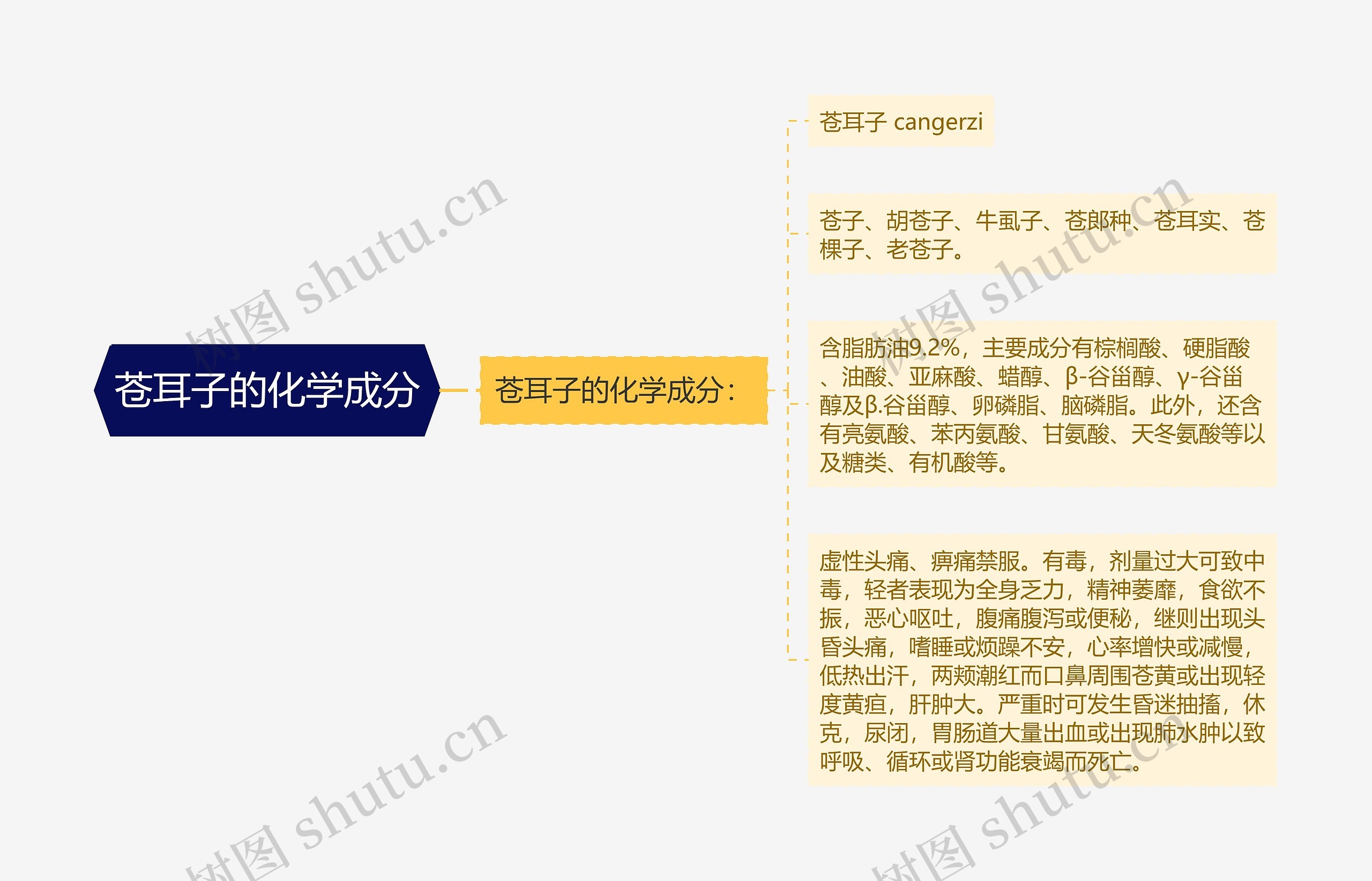 苍耳子的化学成分思维导图