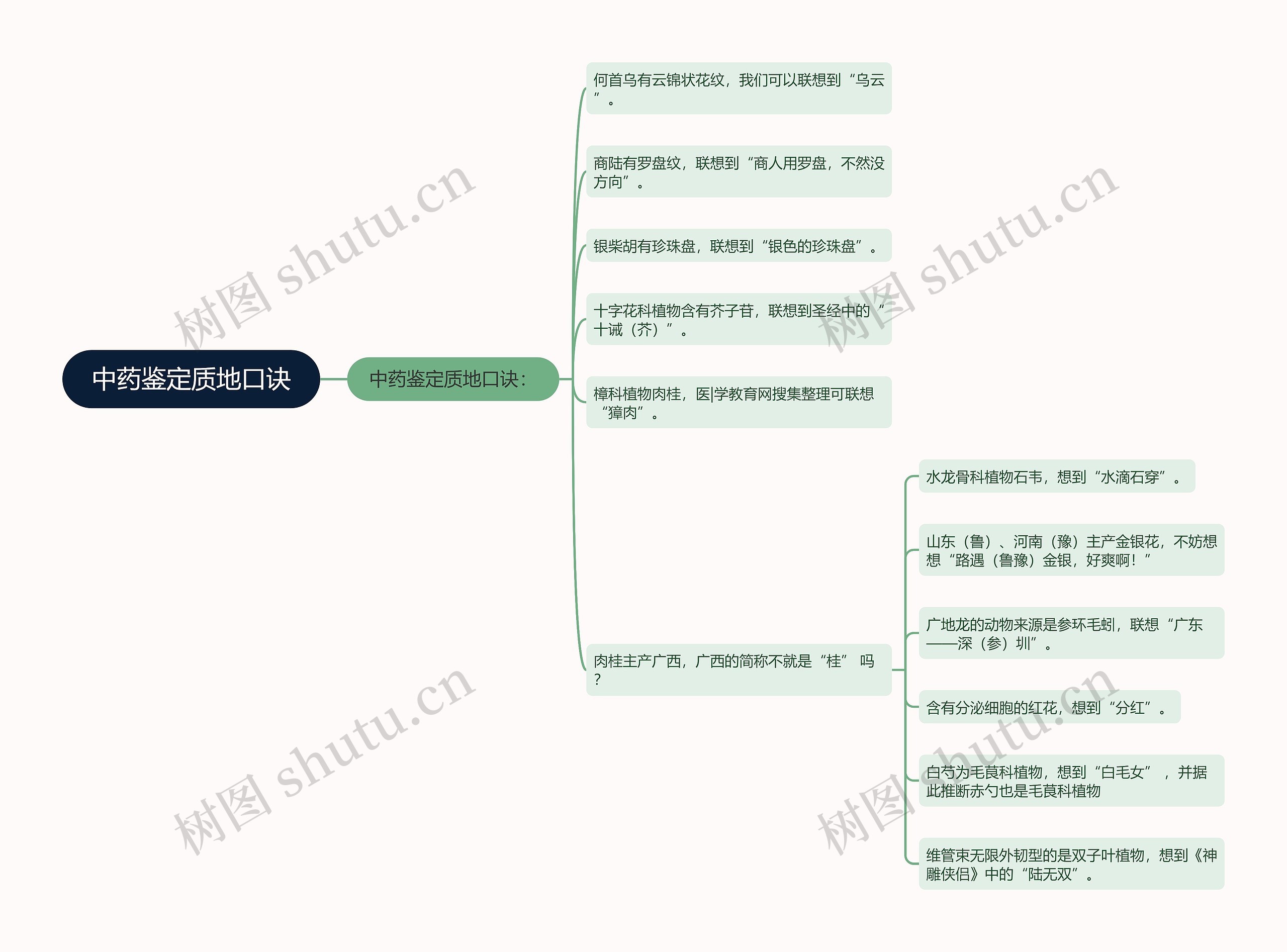 中药鉴定质地口诀思维导图
