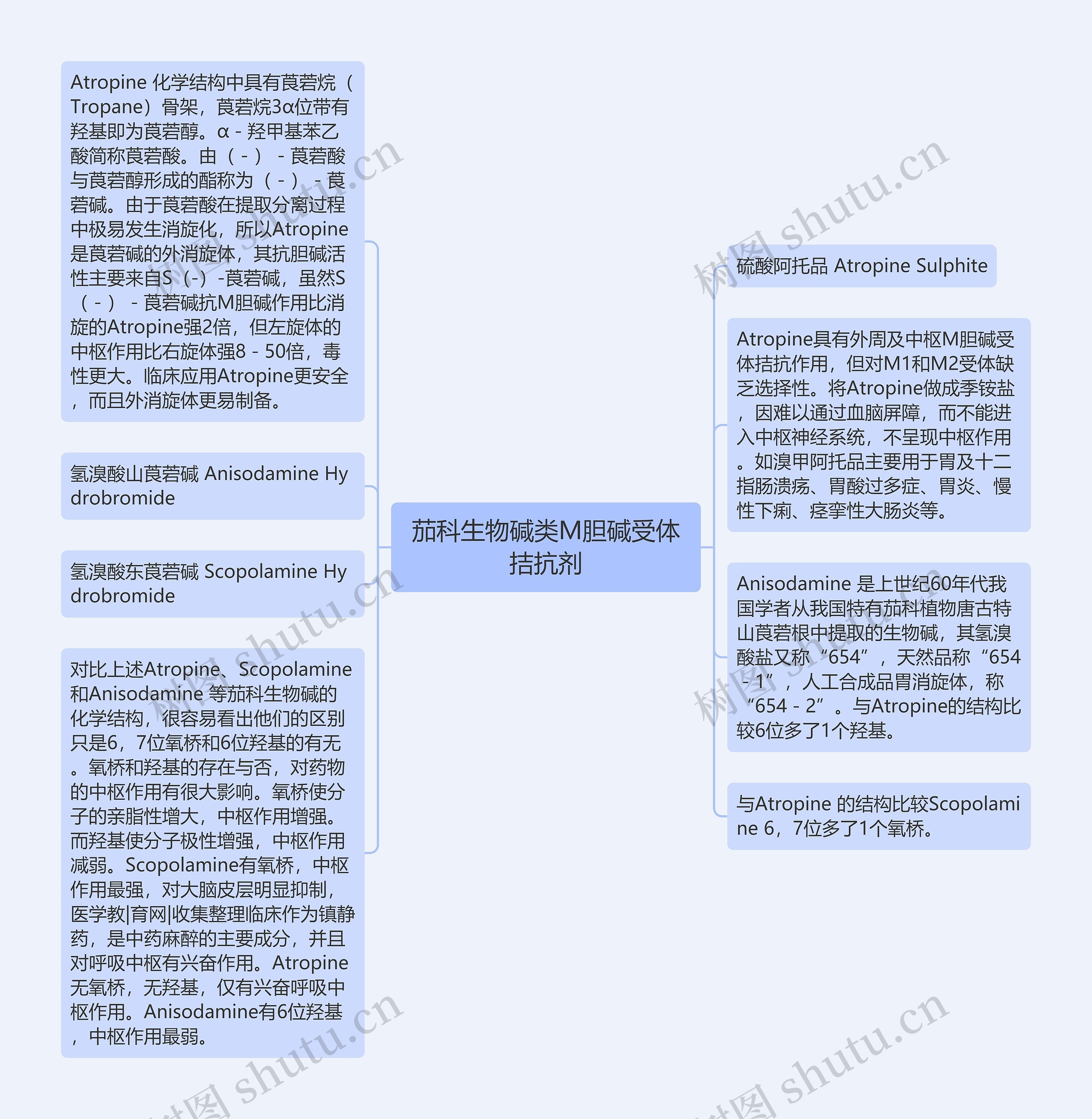 茄科生物碱类M胆碱受体拮抗剂思维导图