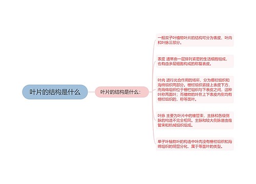 叶片的结构是什么