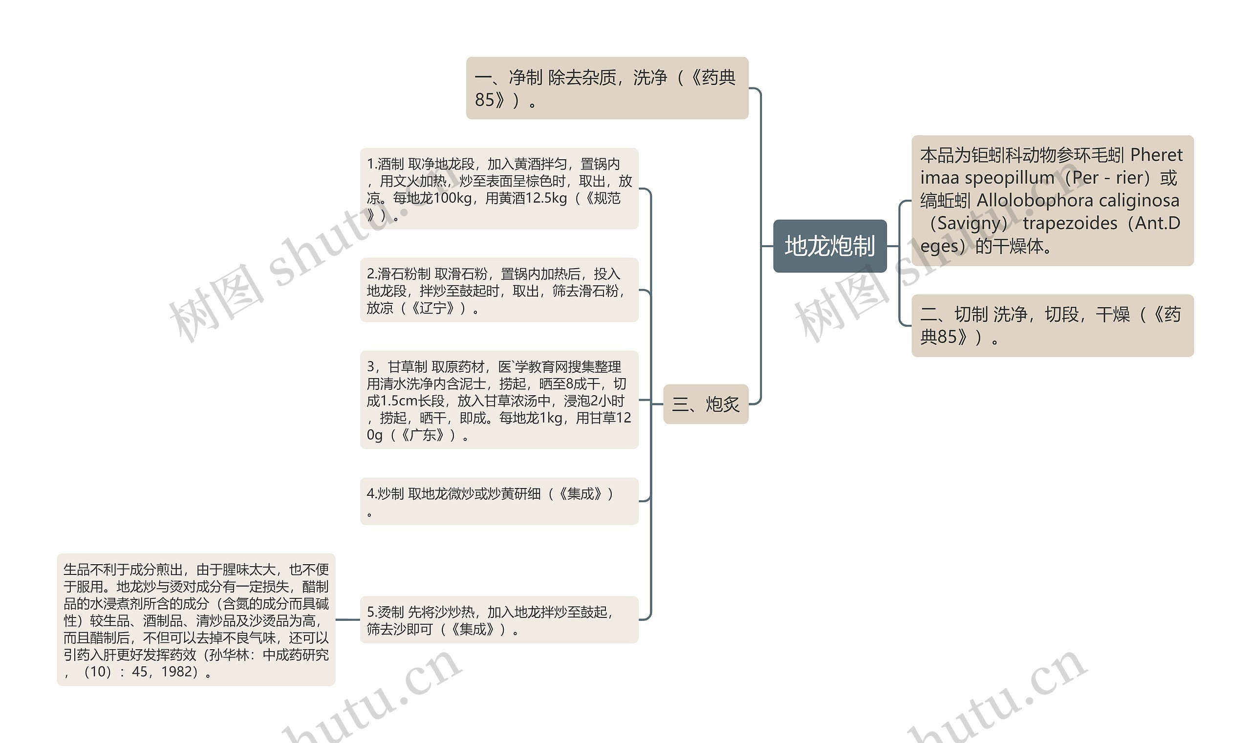 地龙炮制思维导图