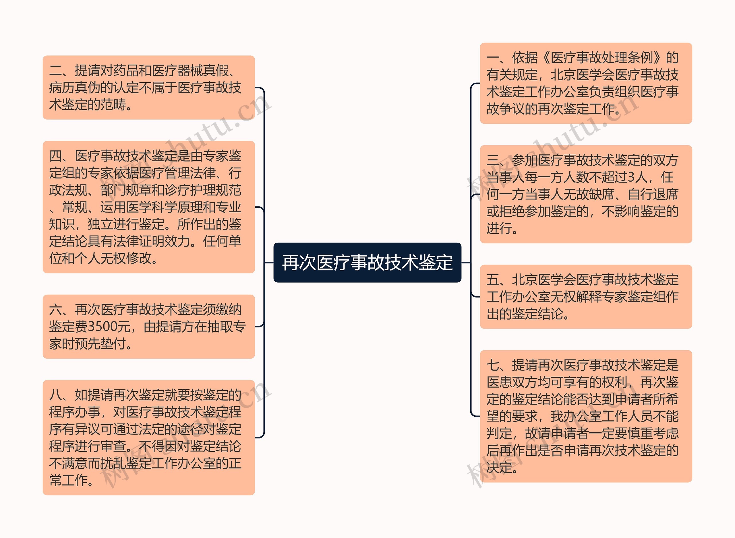 再次医疗事故技术鉴定思维导图