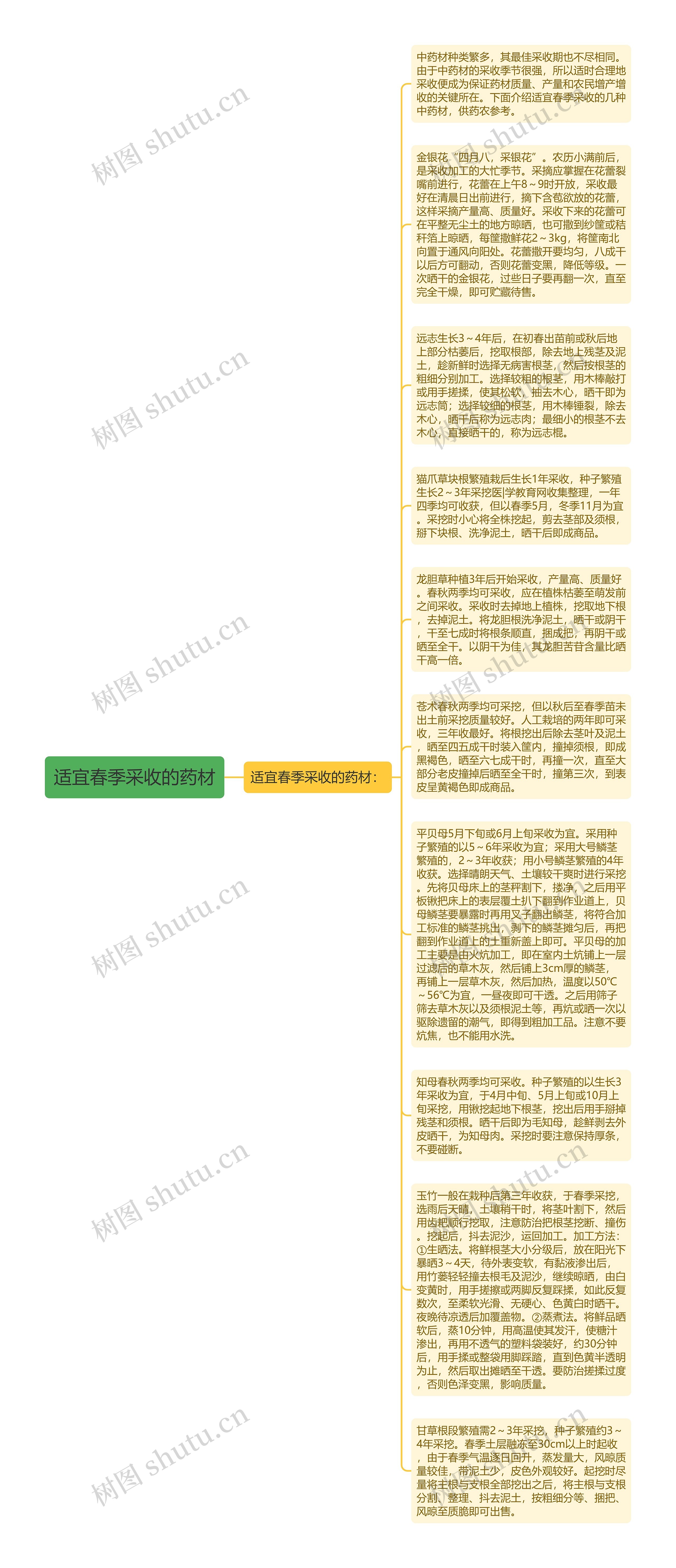 适宜春季采收的药材思维导图