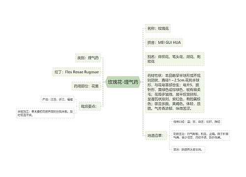 玫瑰花-理气药