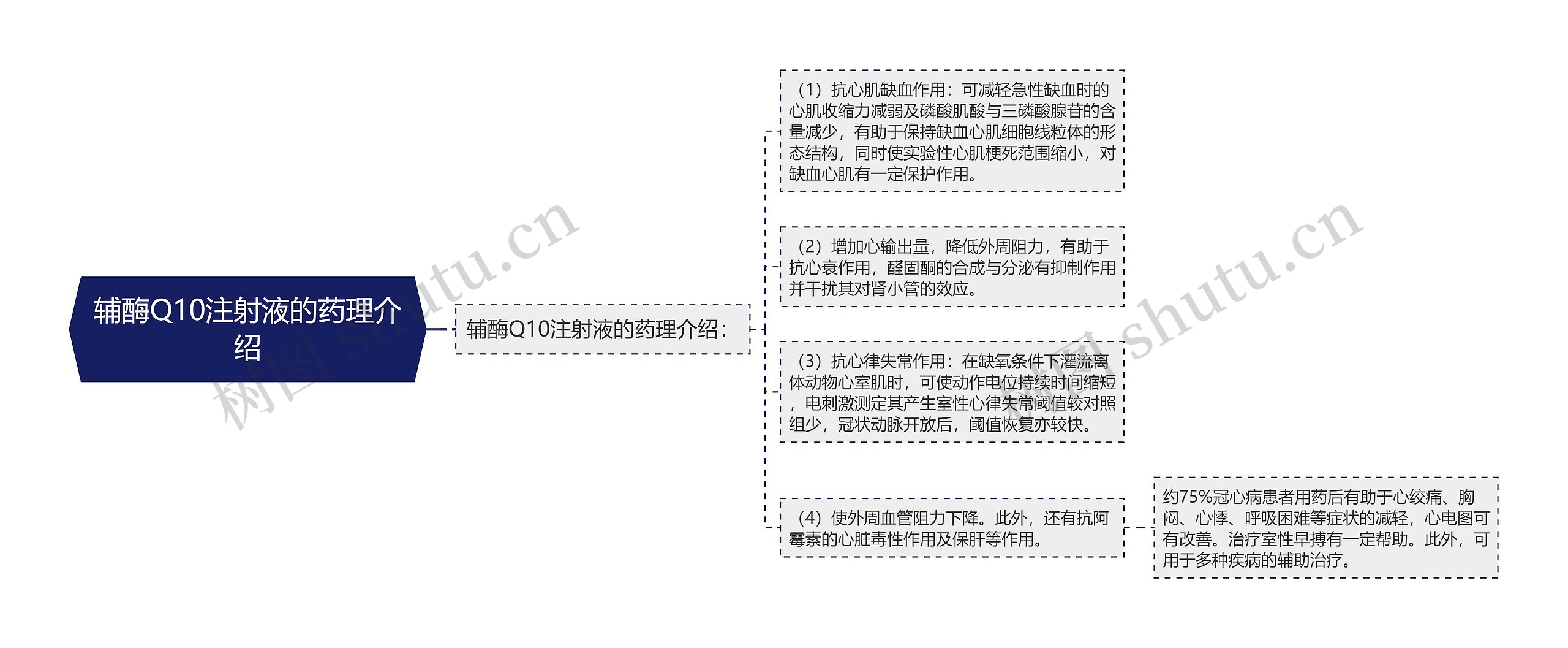 辅酶Q10注射液的药理介绍思维导图