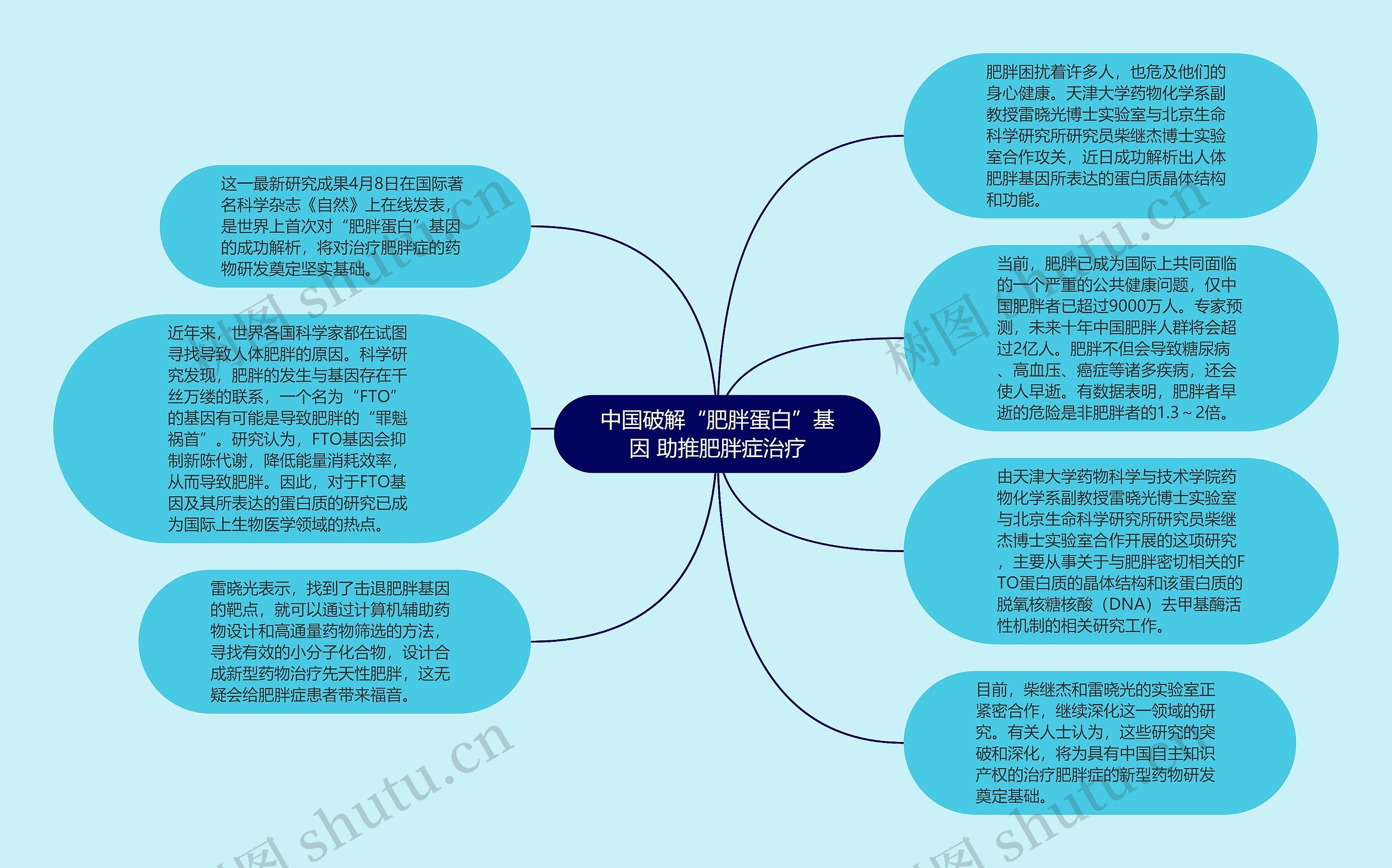 中国破解“肥胖蛋白”基因 助推肥胖症治疗思维导图