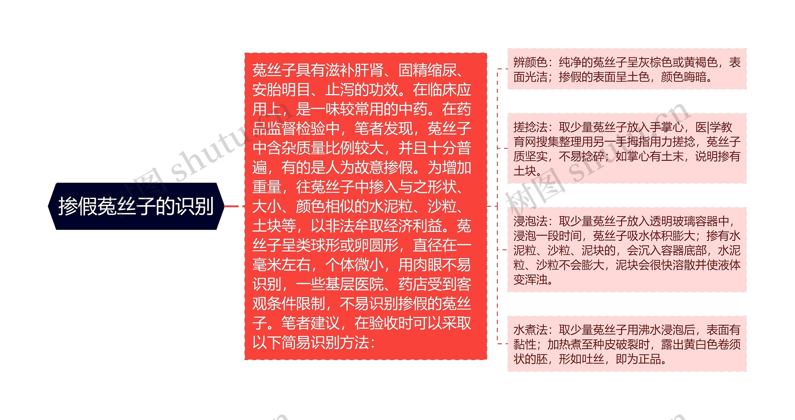 掺假菟丝子的识别