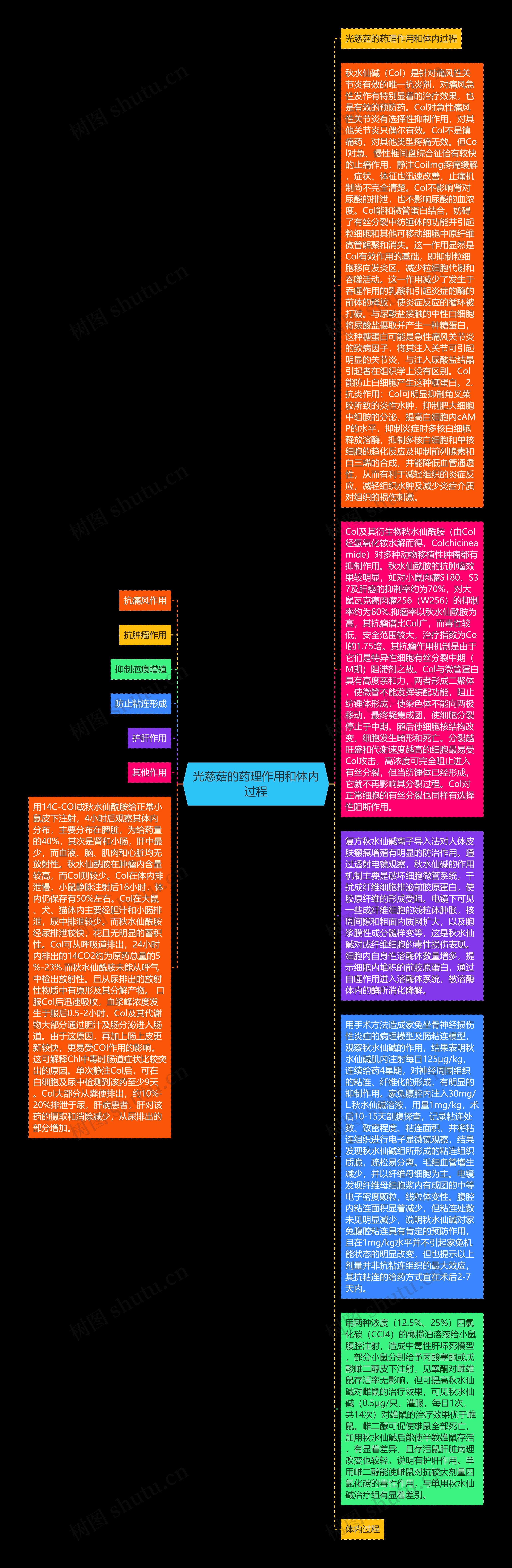 光慈菇的药理作用和体内过程思维导图