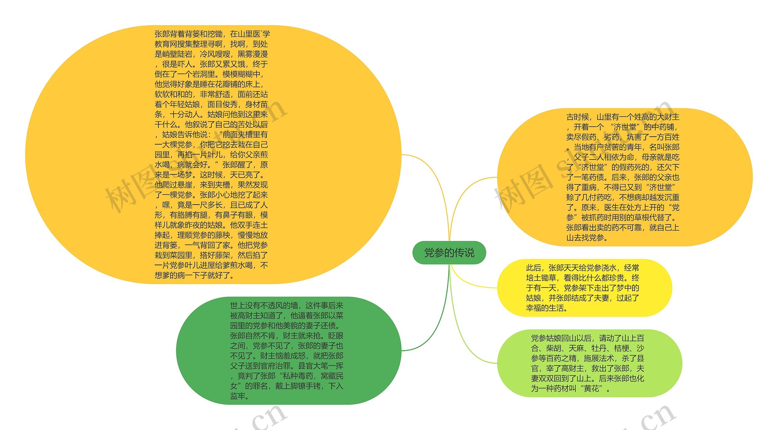 党参的传说思维导图