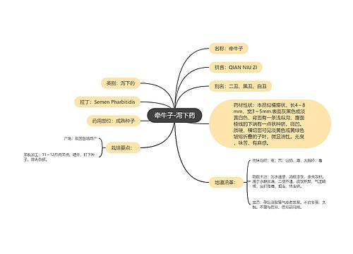 牵牛子-泻下药思维导图