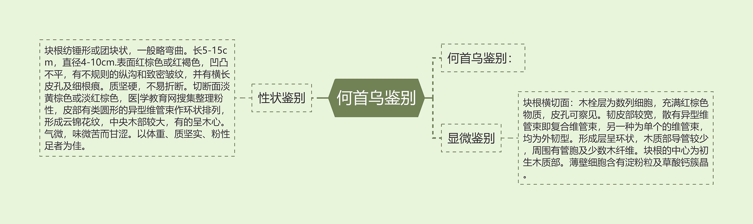 何首乌鉴别思维导图