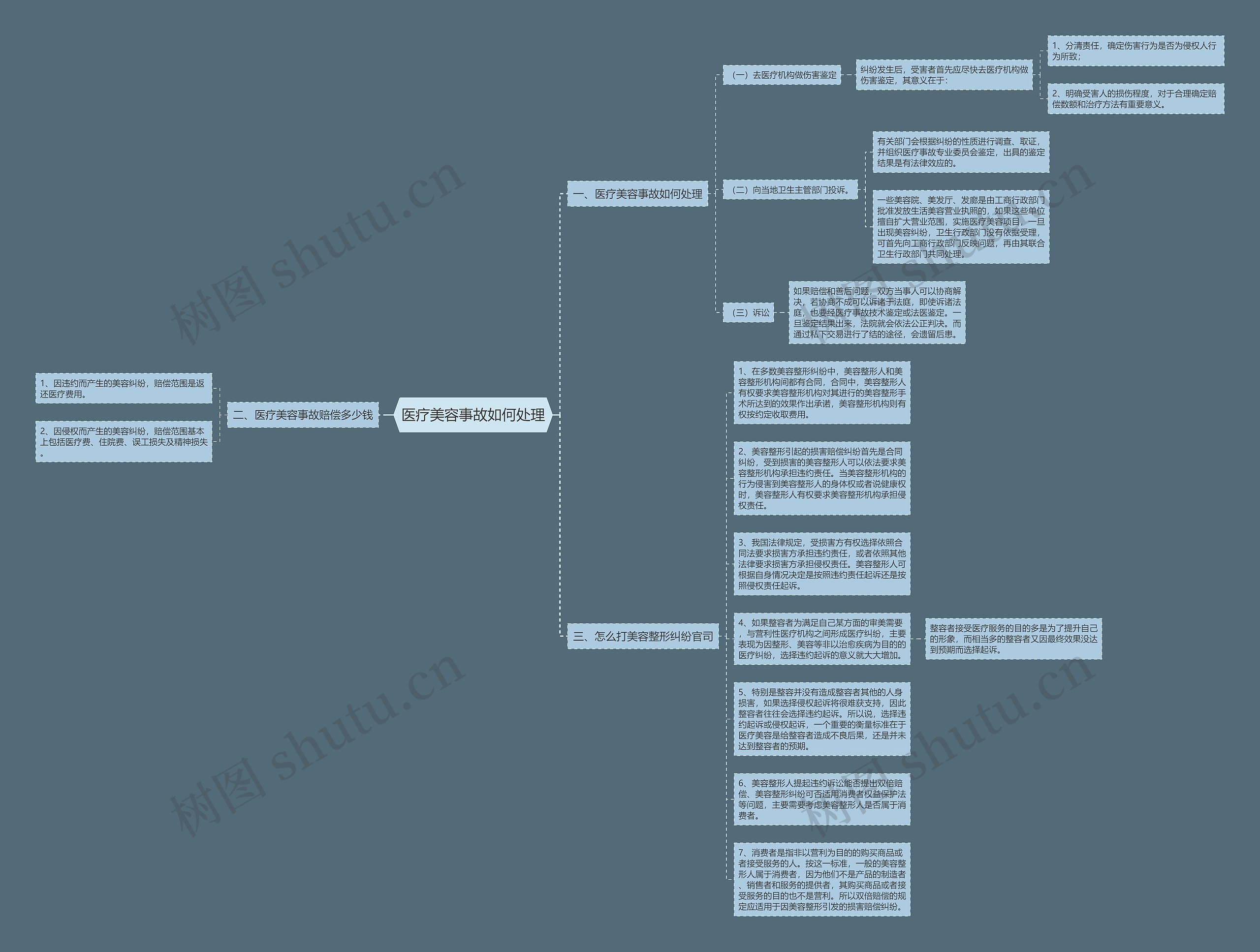 医疗美容事故如何处理思维导图