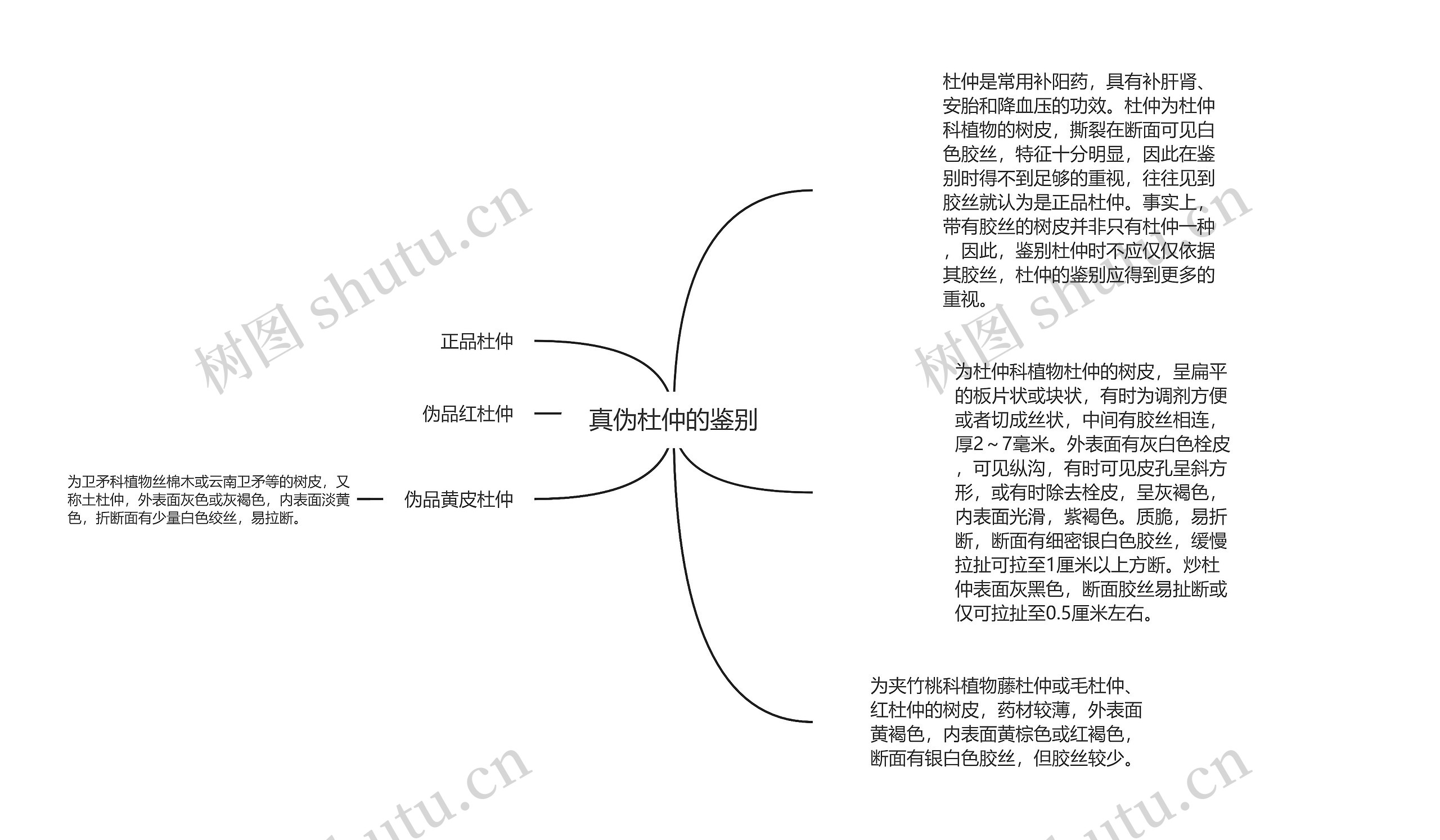 真伪杜仲的鉴别思维导图