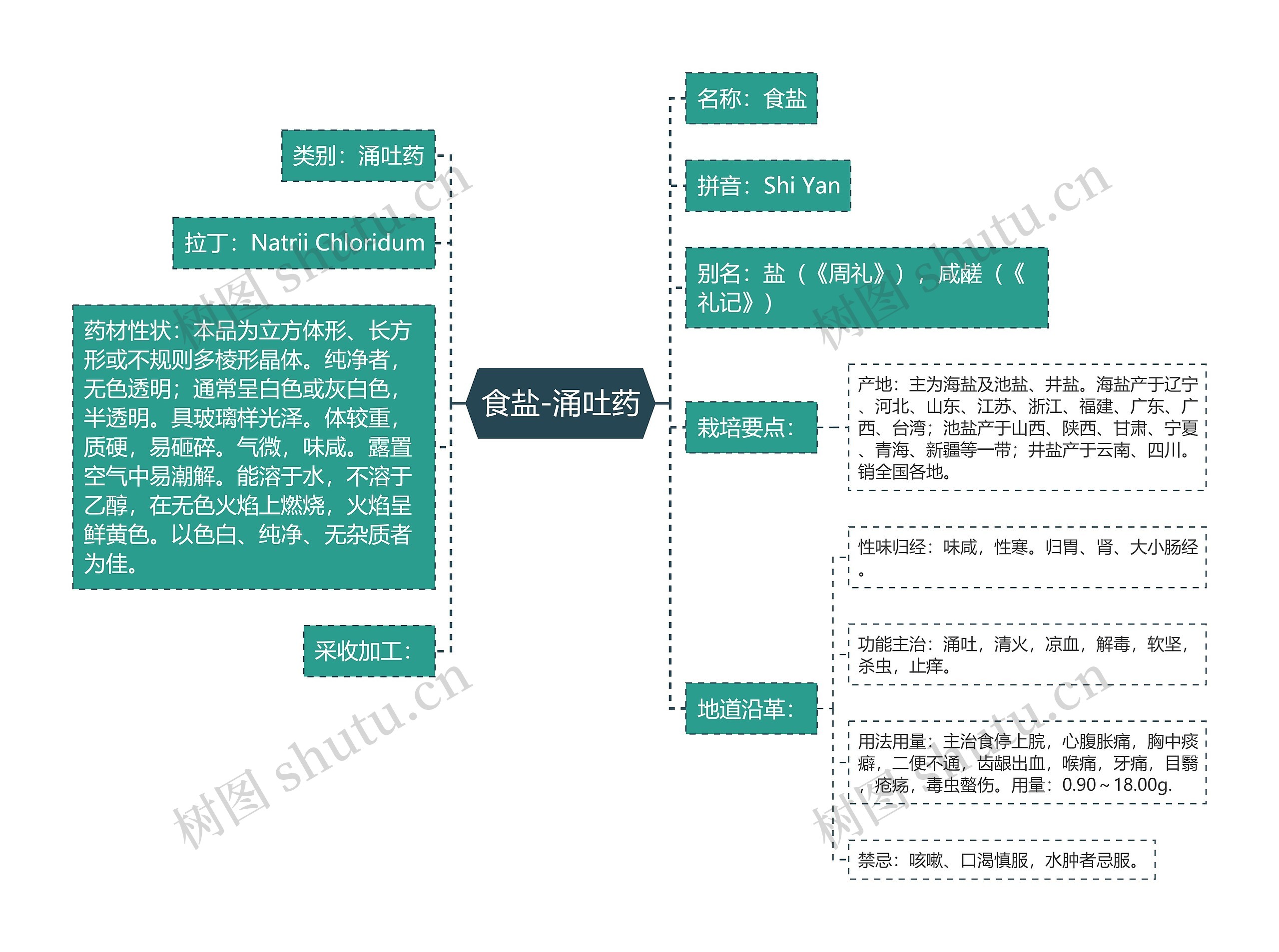 食盐-涌吐药思维导图