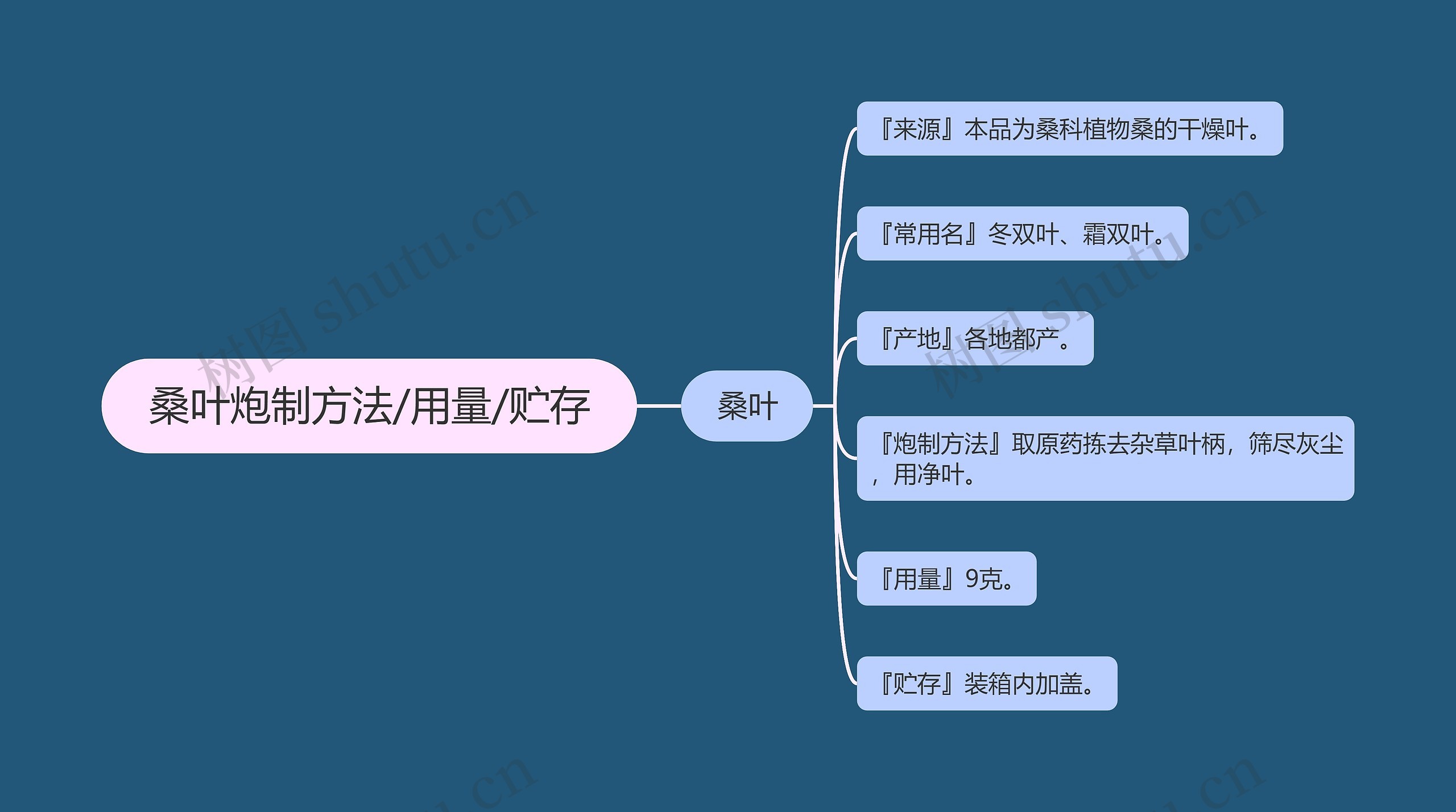 桑叶炮制方法/用量/贮存思维导图