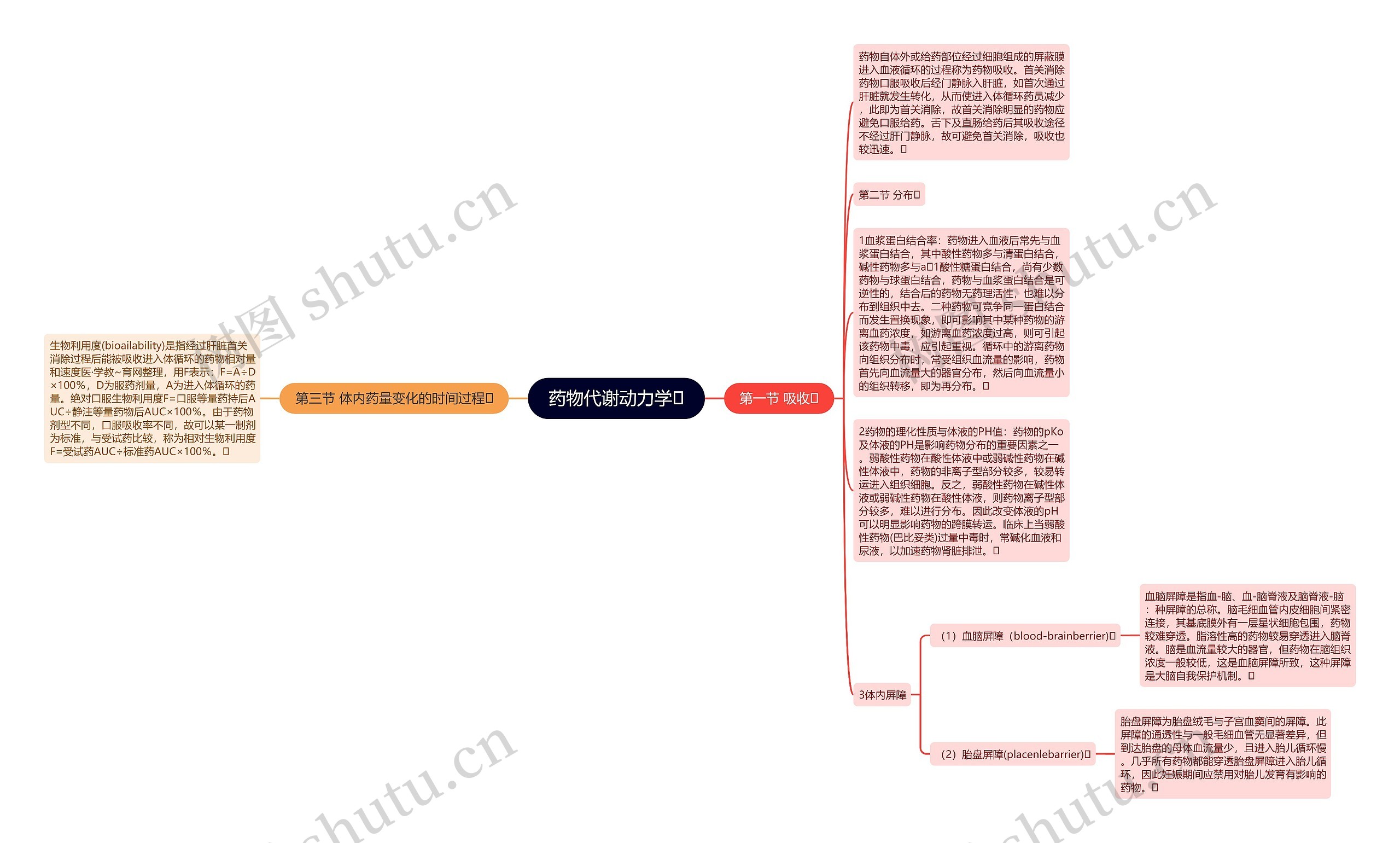 药物代谢动力学 药物代谢动力学