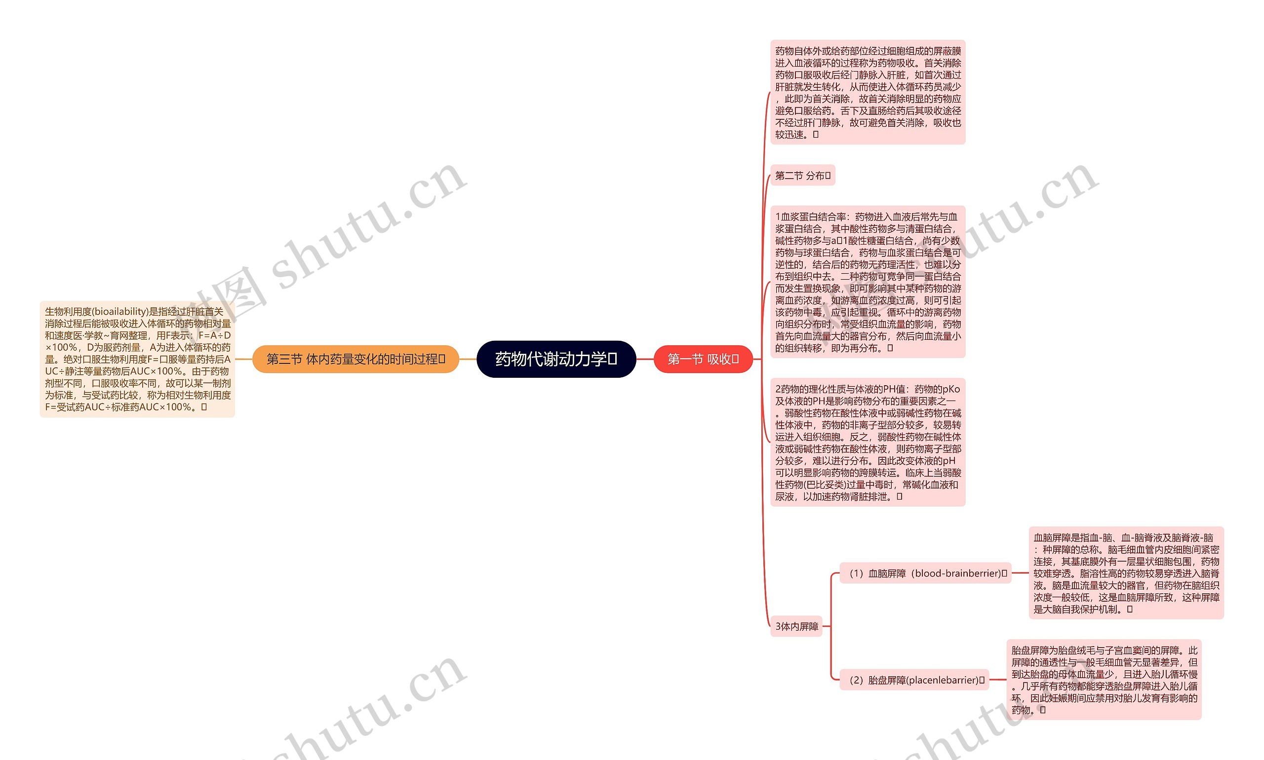 药物代谢动力学思维导图