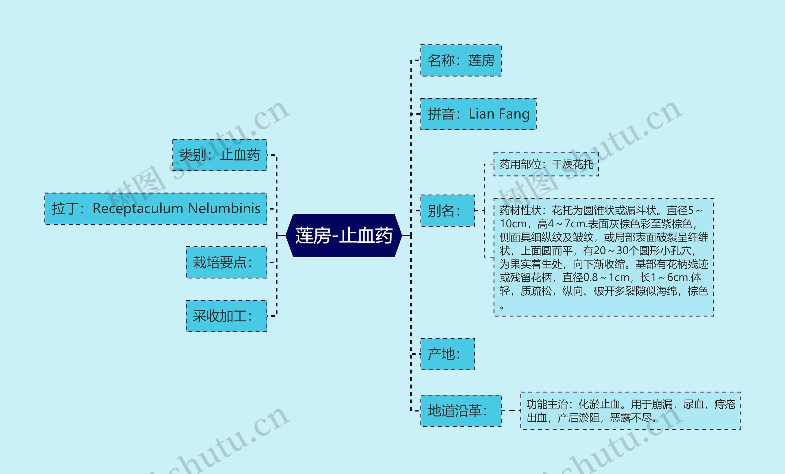 莲房-止血药思维导图