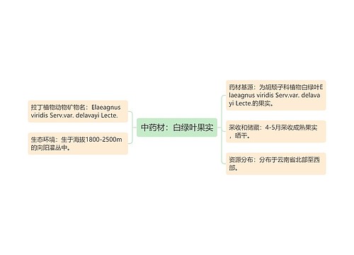 中药材：白绿叶果实