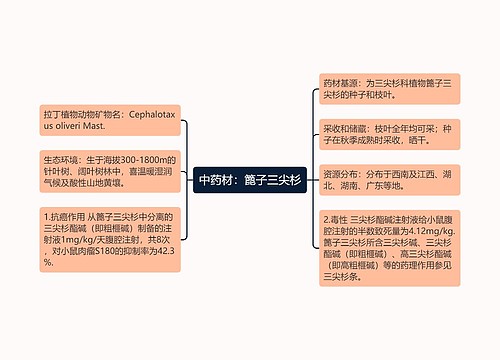 中药材：篦子三尖杉