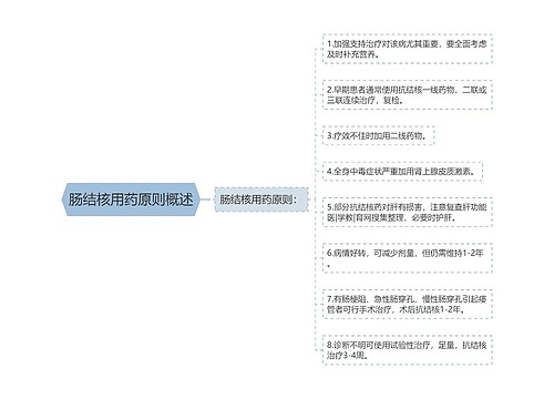 肠结核用药原则概述