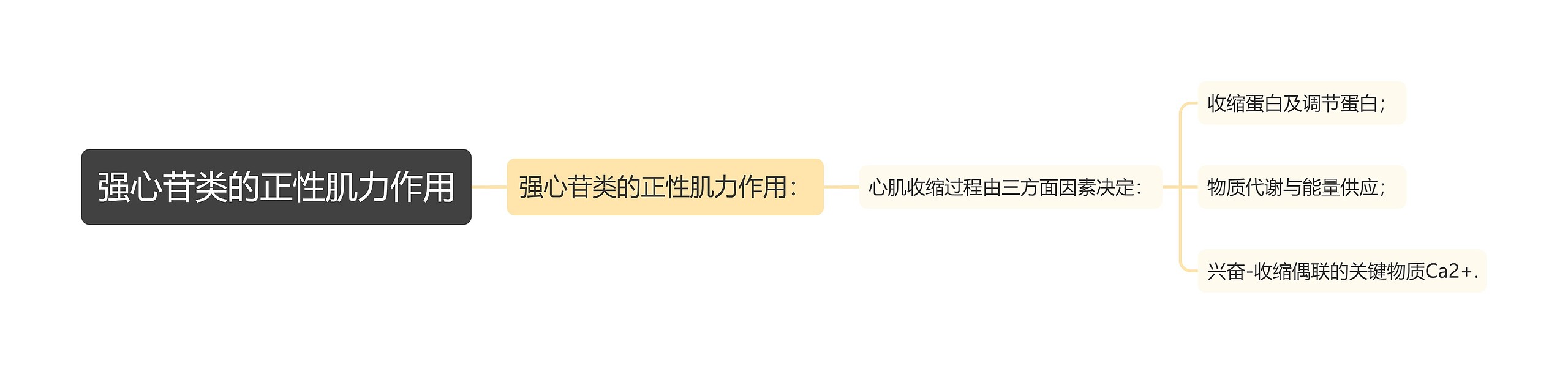 强心苷类的正性肌力作用 强心苷类的正性肌力作用