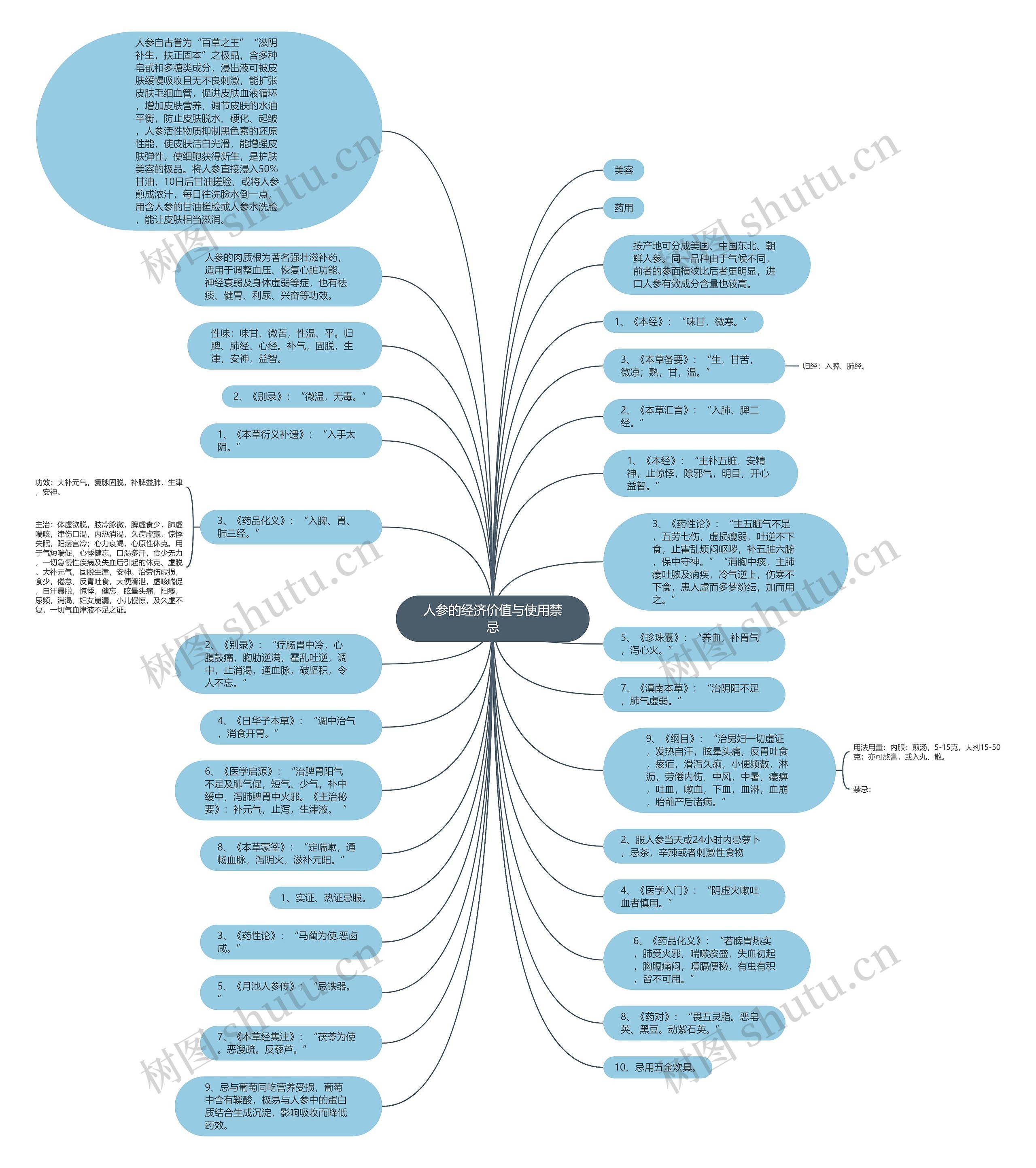 人参的经济价值与使用禁忌思维导图高清图 人参的经济价值与使用禁忌思维导图